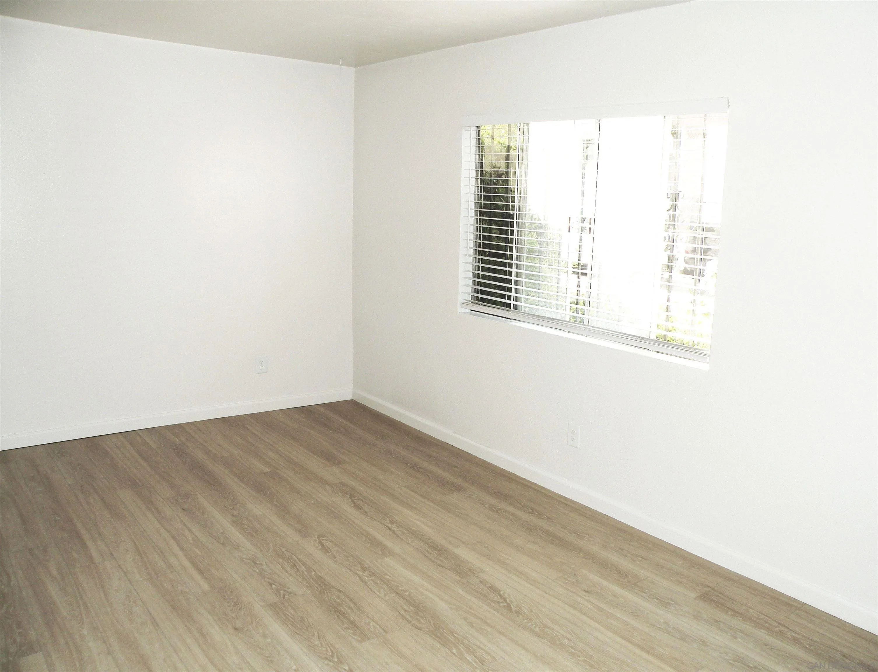 Photo #5: 260012271 Listing: Photo #5