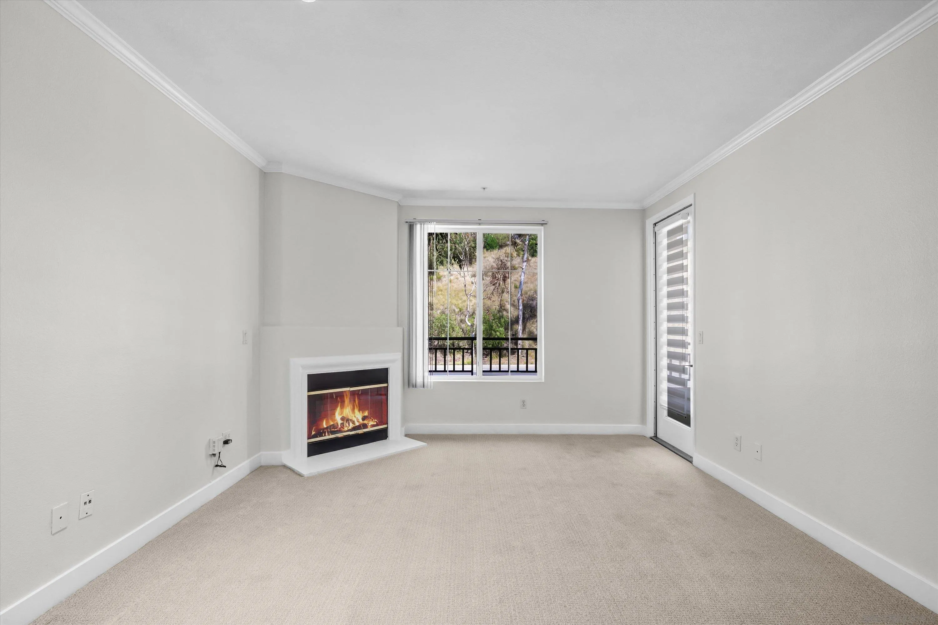 Photo #5: 260012345 Listing: Photo #5