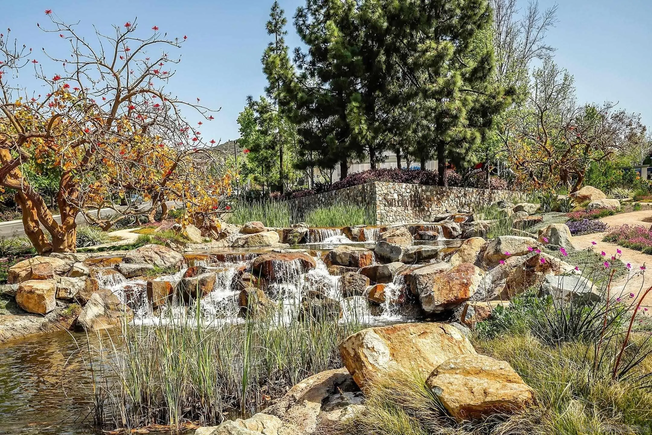 Photo #27: 260012379 Listing: Photo #27
