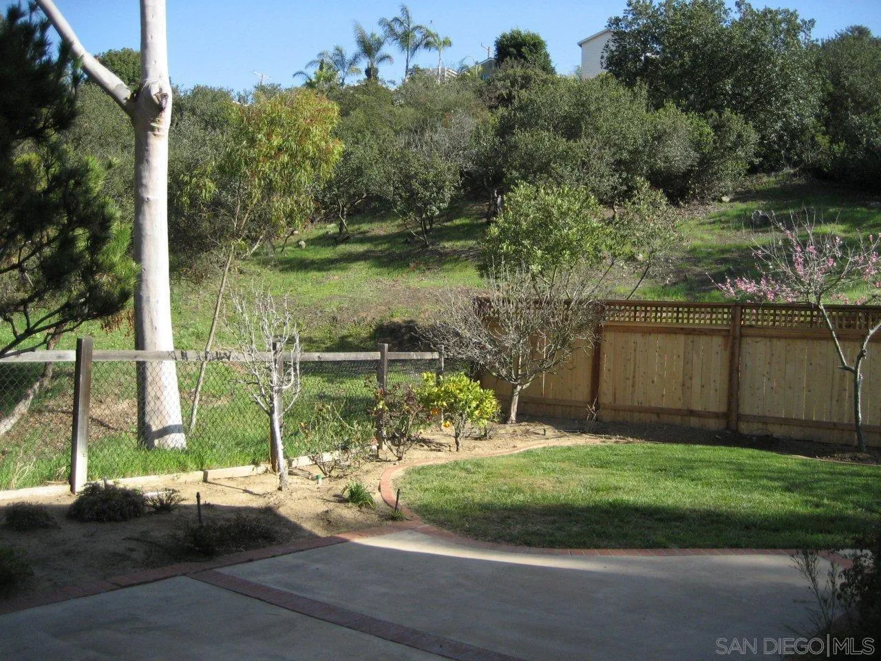 Photo #24: 260012494 Listing: Photo #24