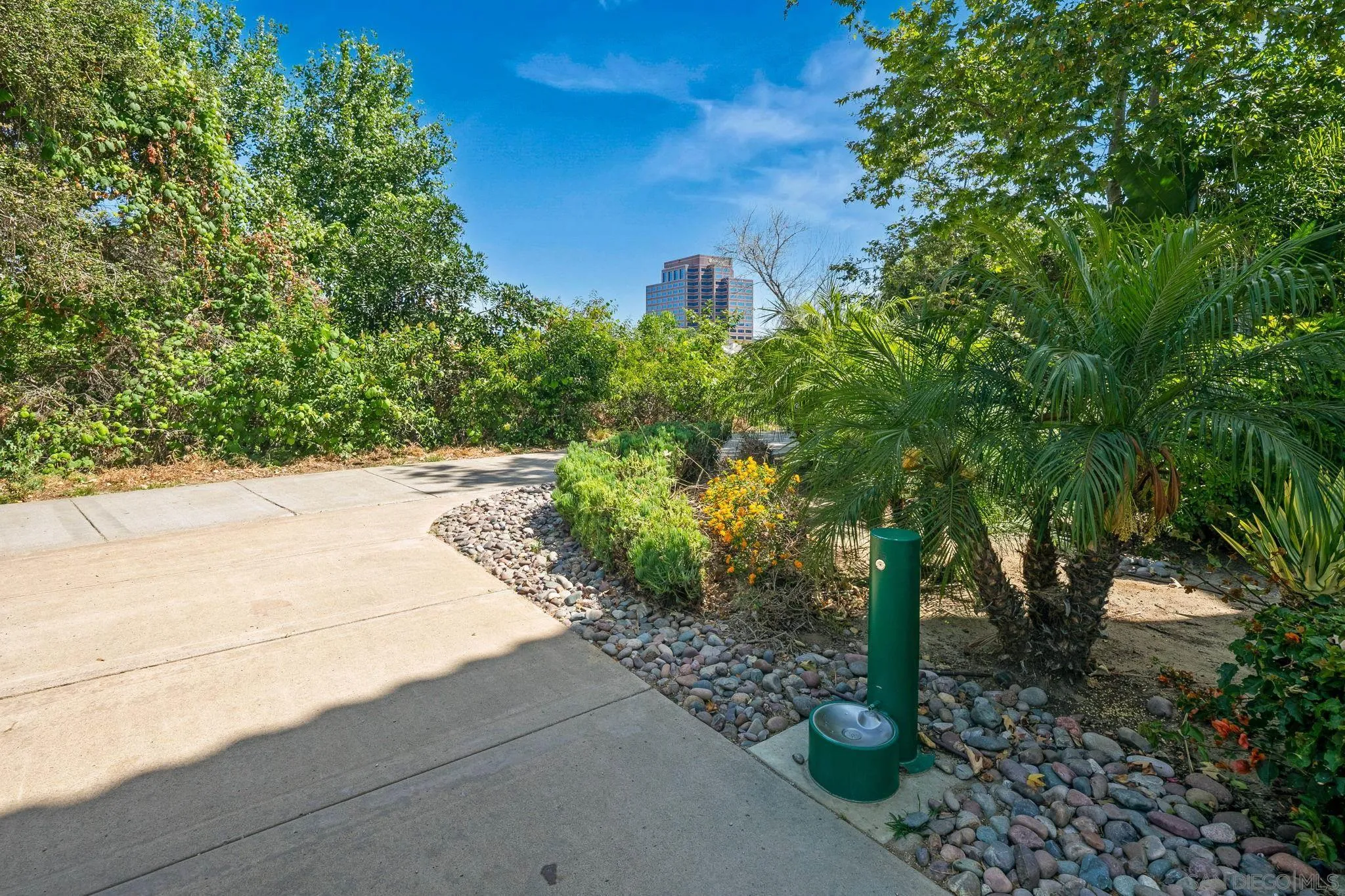 Photo #40: 260012581 Listing: Photo #40