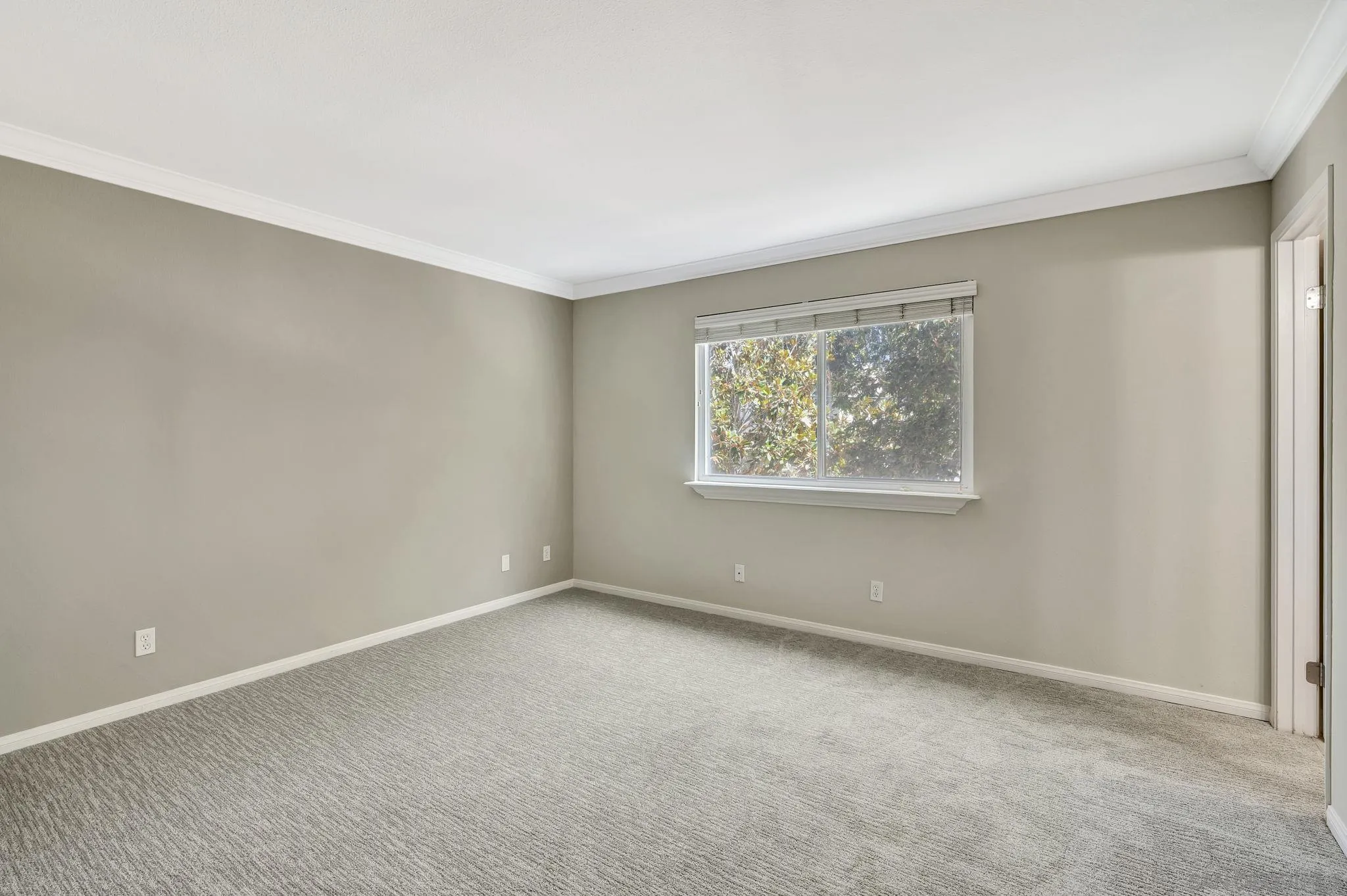 Photo #11: 2600126 Listing: Photo #11