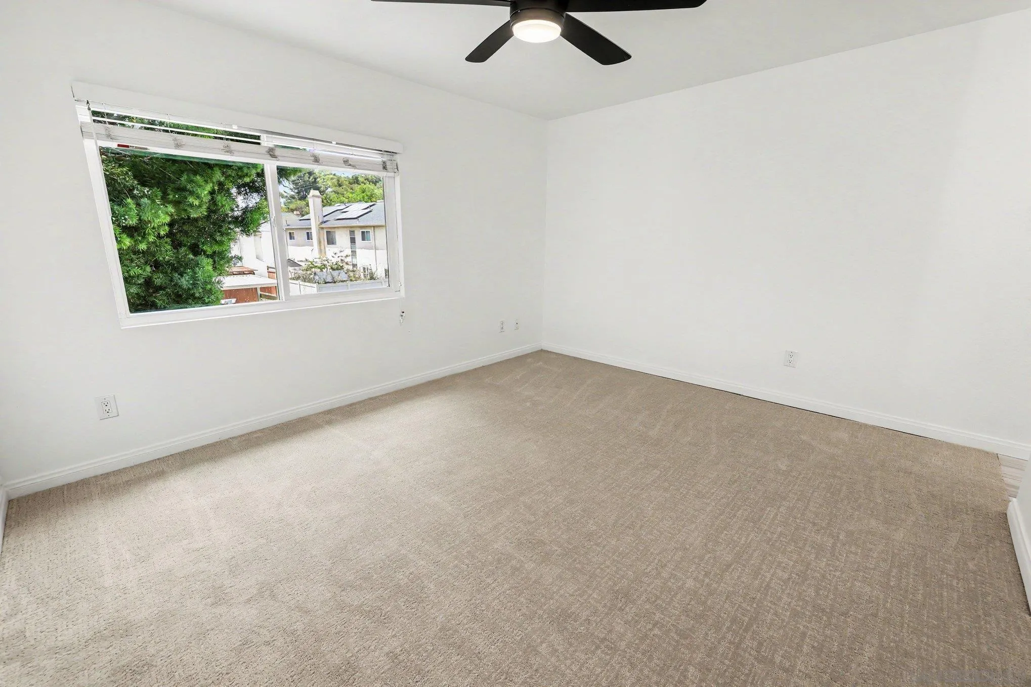 Photo #15: 260012625 Listing: Photo #15