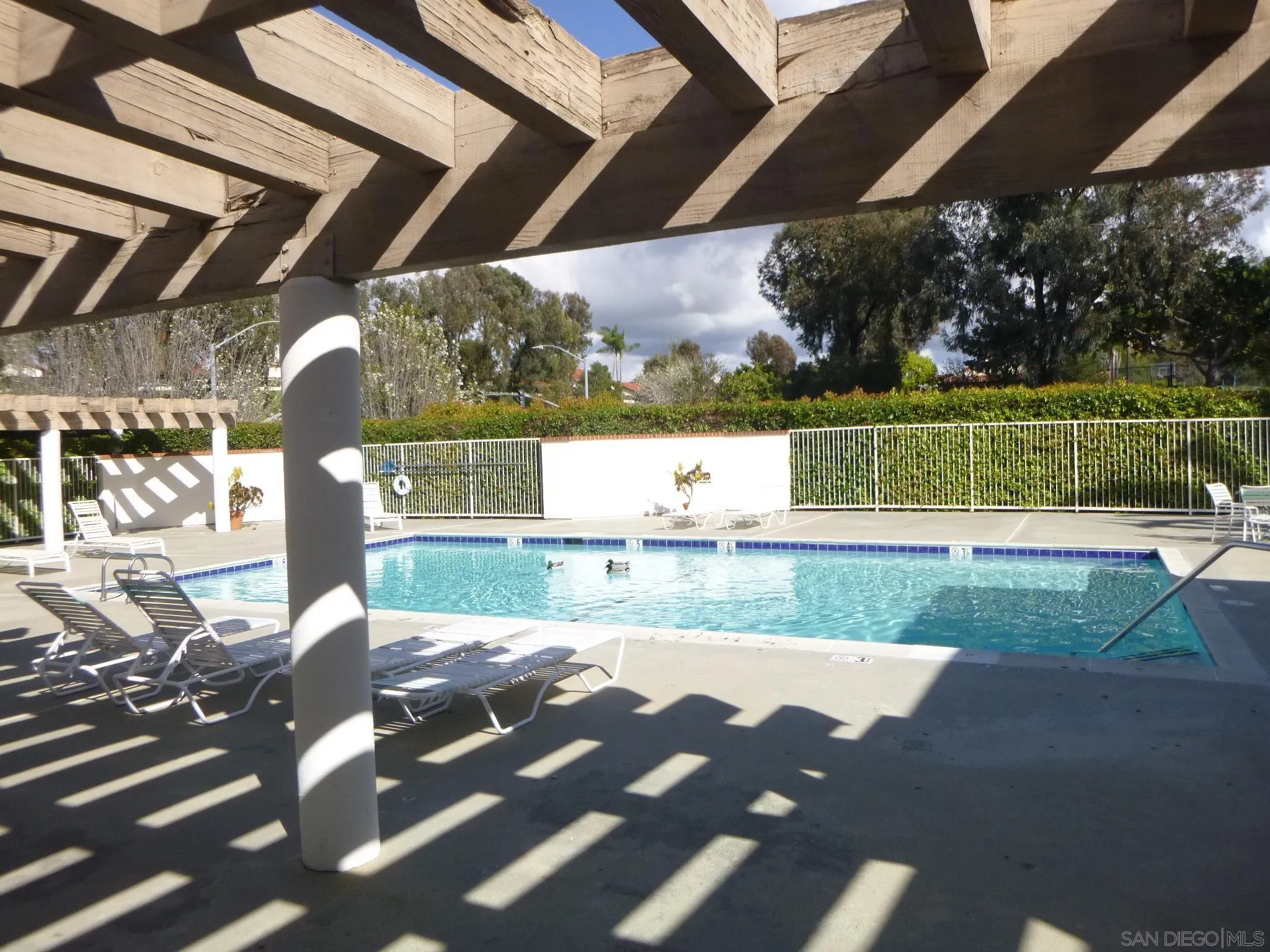 Photo #14: 260012719 Listing: Photo #14