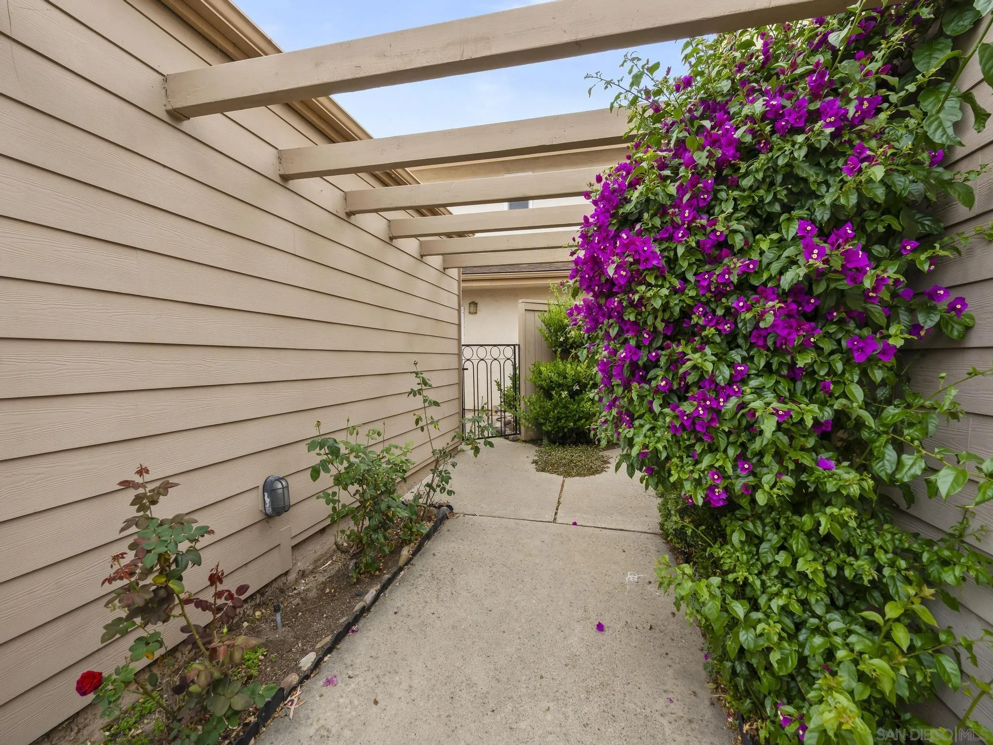 Photo #3: 260012826 Listing: Photo #3