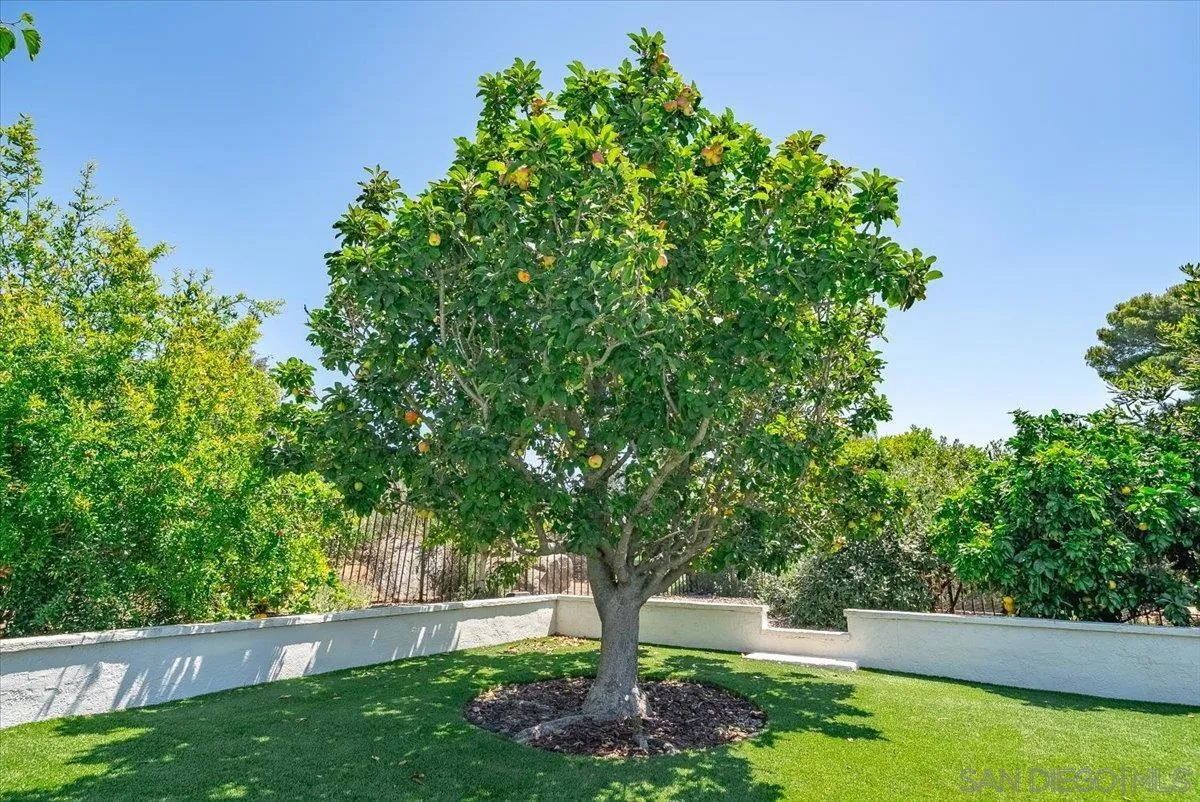https://cdn.realtyfeed.com/cdn/127/260012932/a7c761e78438b92e3dcec65fa520fdc1.webp