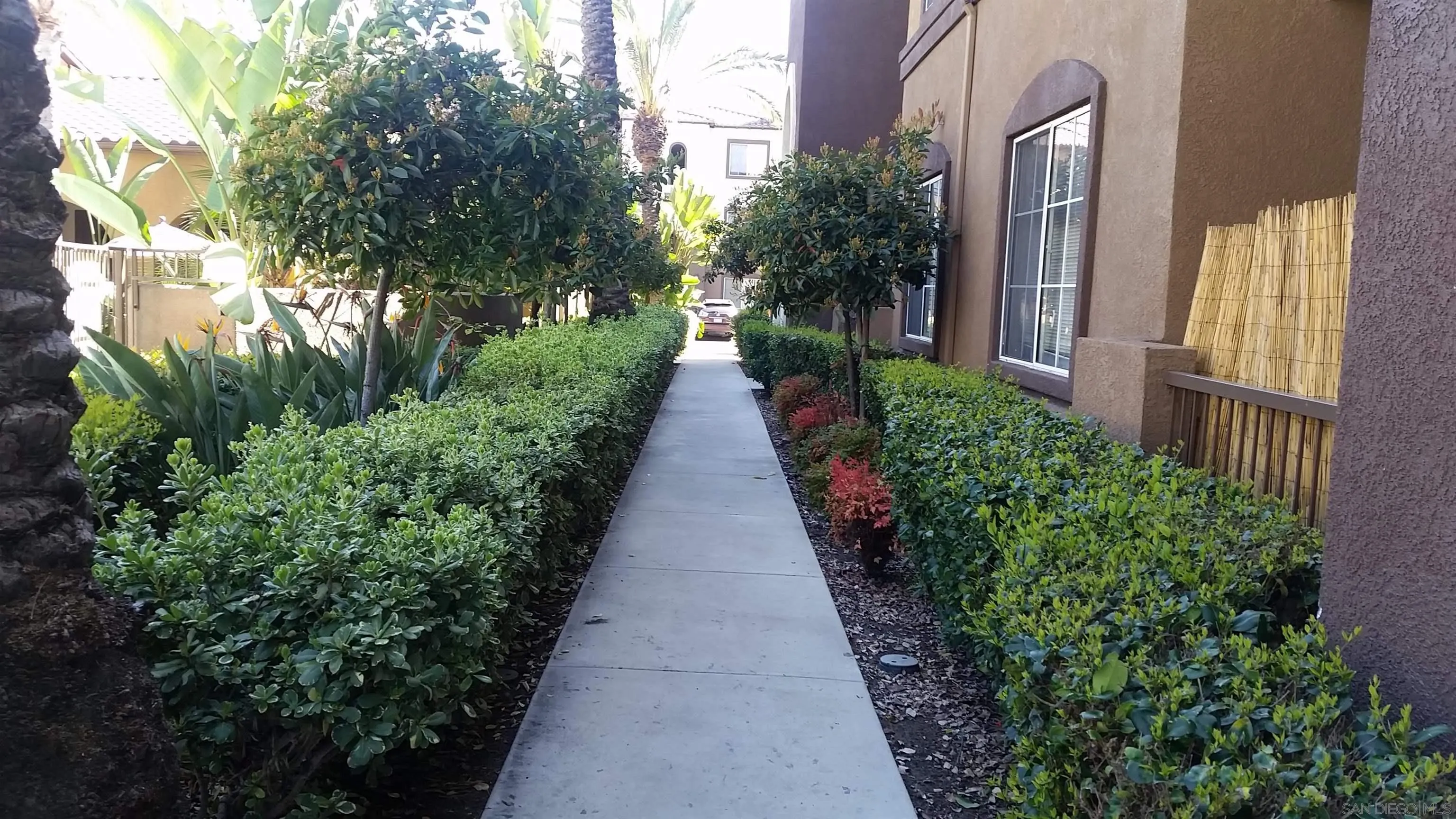 Photo #16: 260013175 Listing: Photo #16