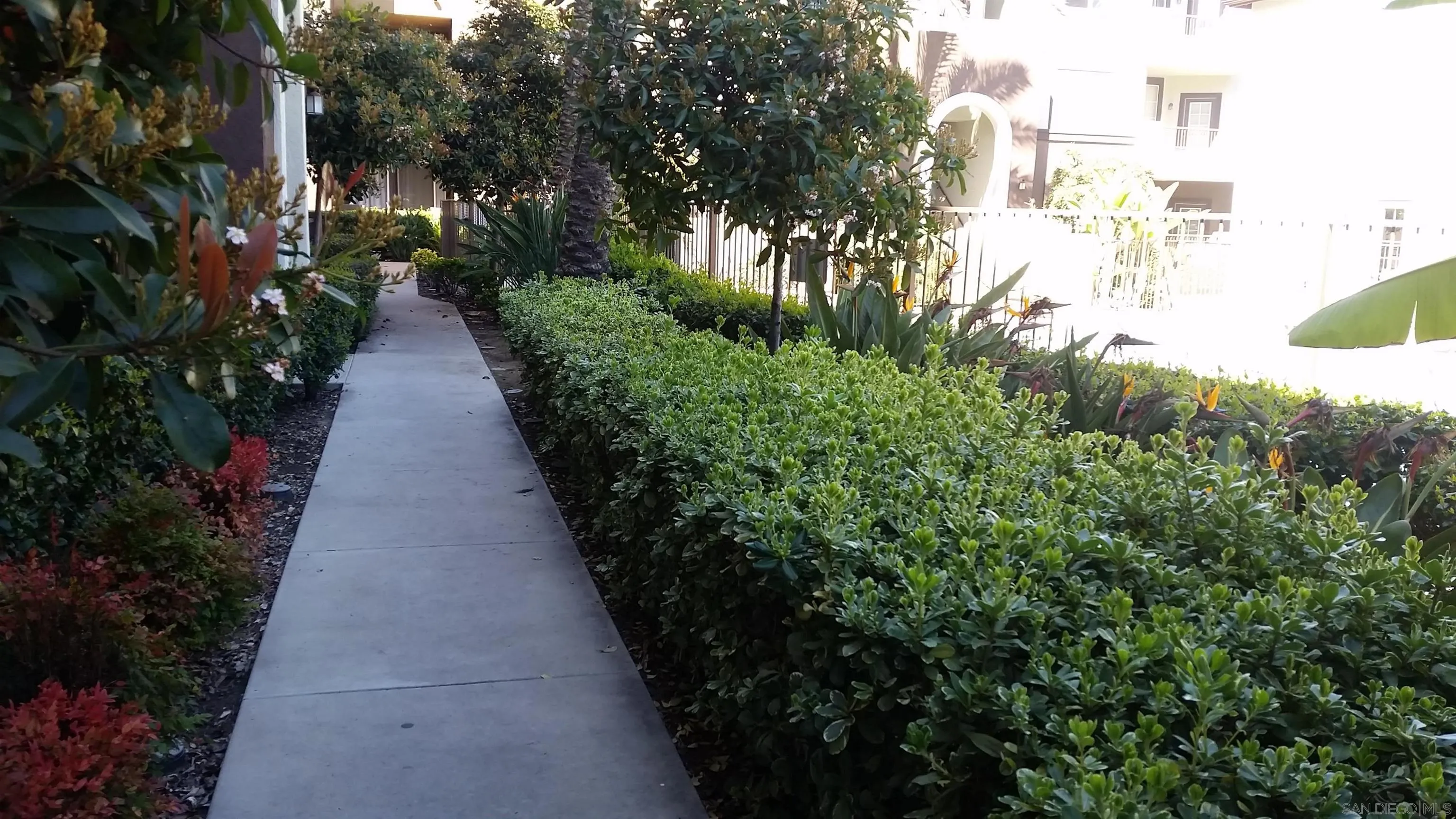 Photo #18: 260013175 Listing: Photo #18
