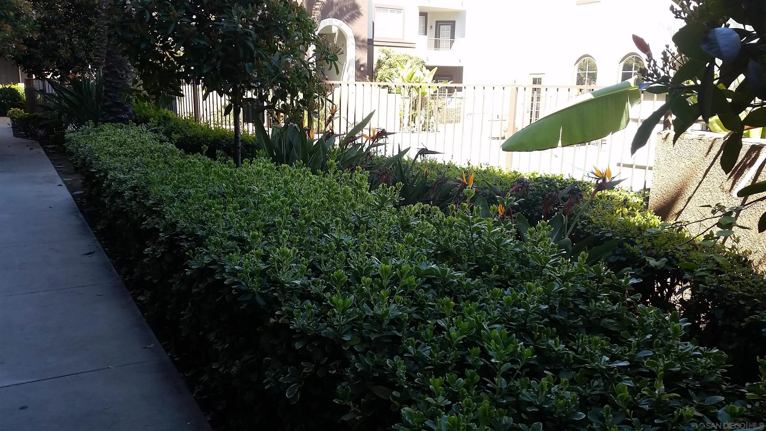 Photo #17: 260013175 Listing: Photo #17