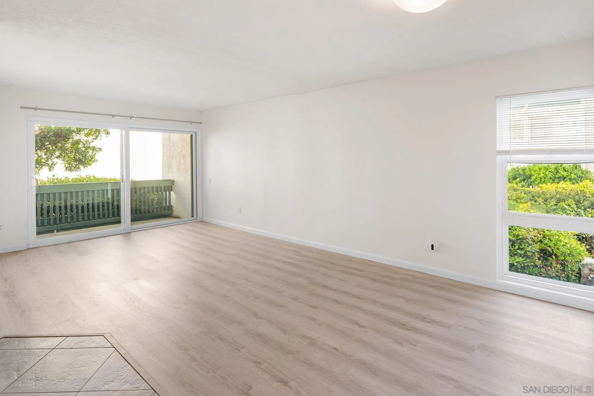Photo #3: 260013182 Listing: Photo #3