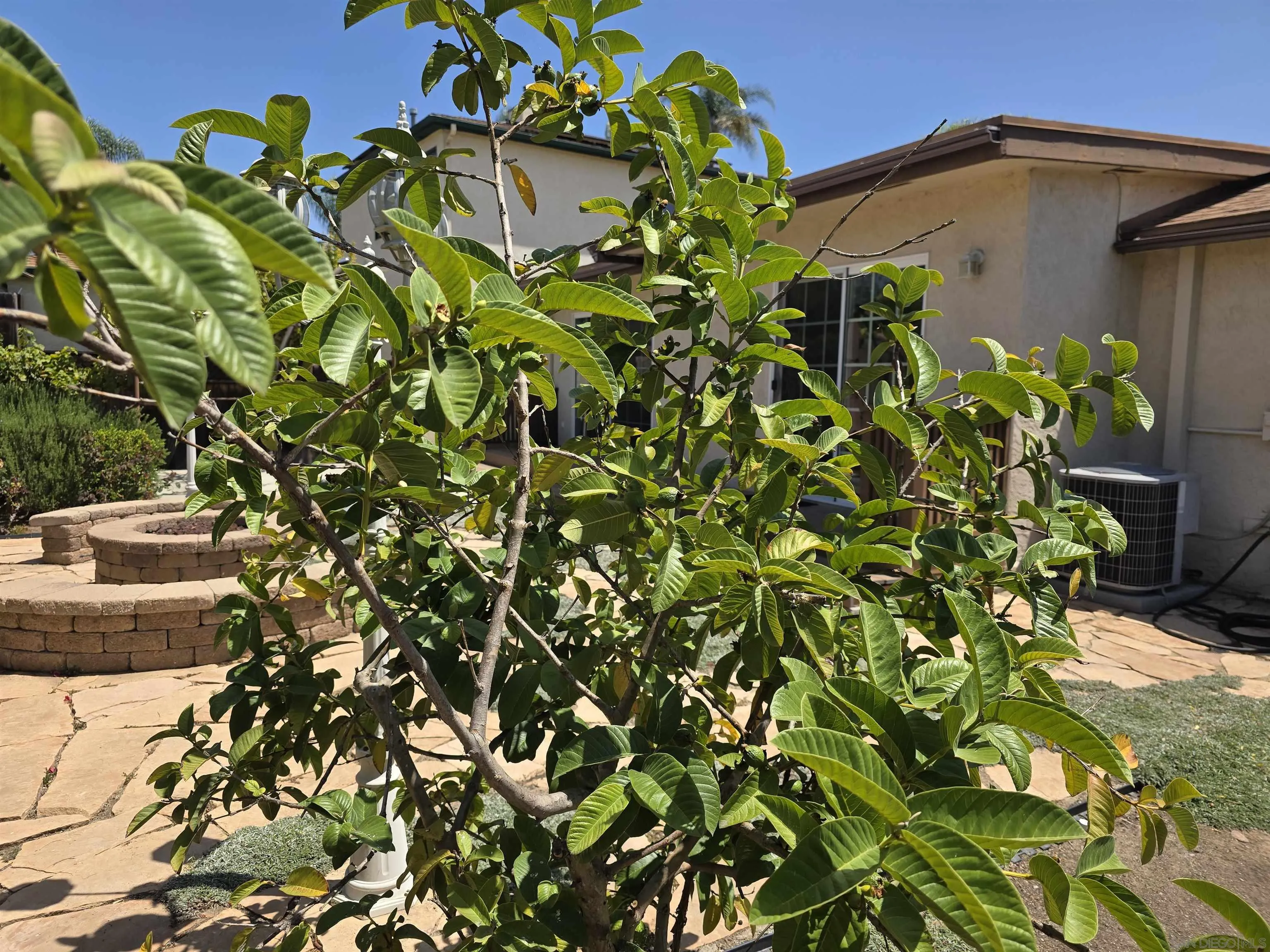 https://cdn.realtyfeed.com/cdn/127/260013197/7a3da124e1813379b1457cb72d3de525.webp