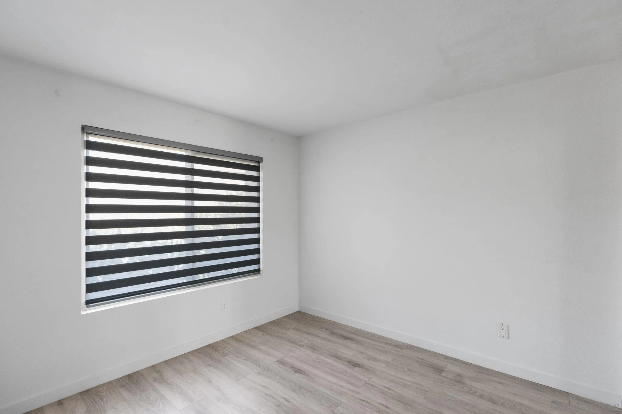 Photo #11: 260013383 Listing: Photo #11