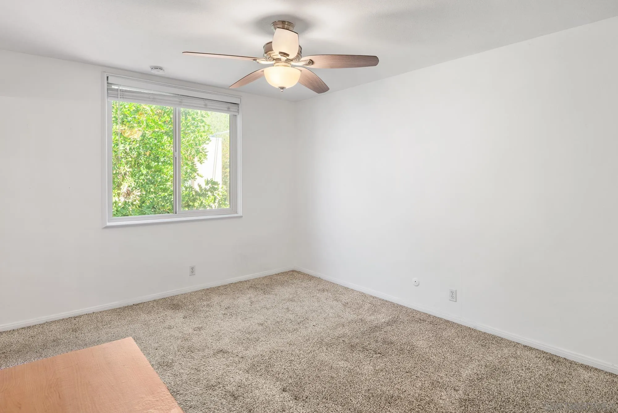 Photo #22: 260013533 Listing: Photo #22