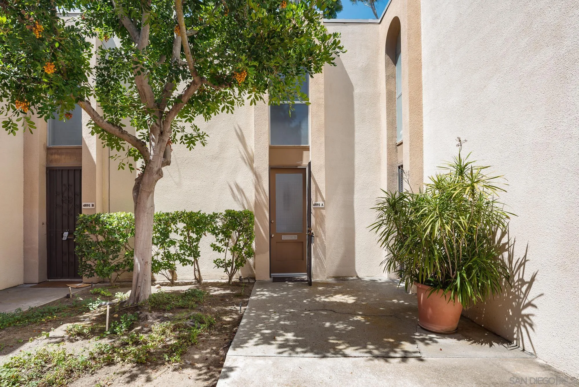 Photo #1: 260013533 Listing: Photo #1