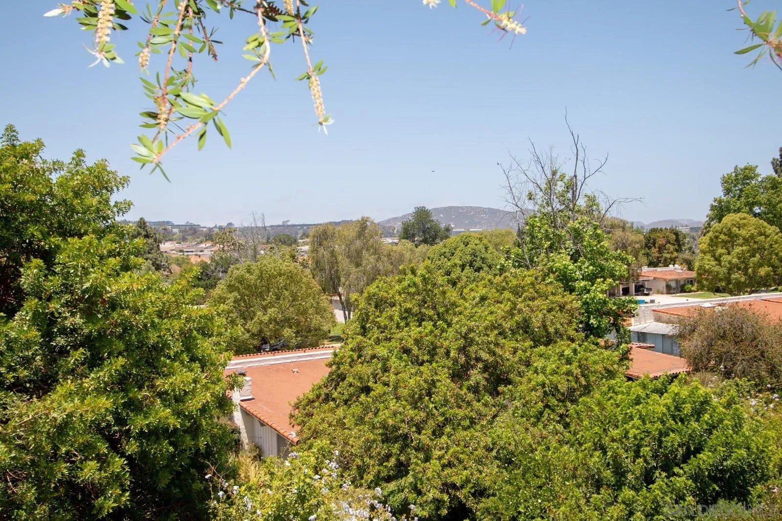 Photo #31: 260013542 Listing: Photo #31