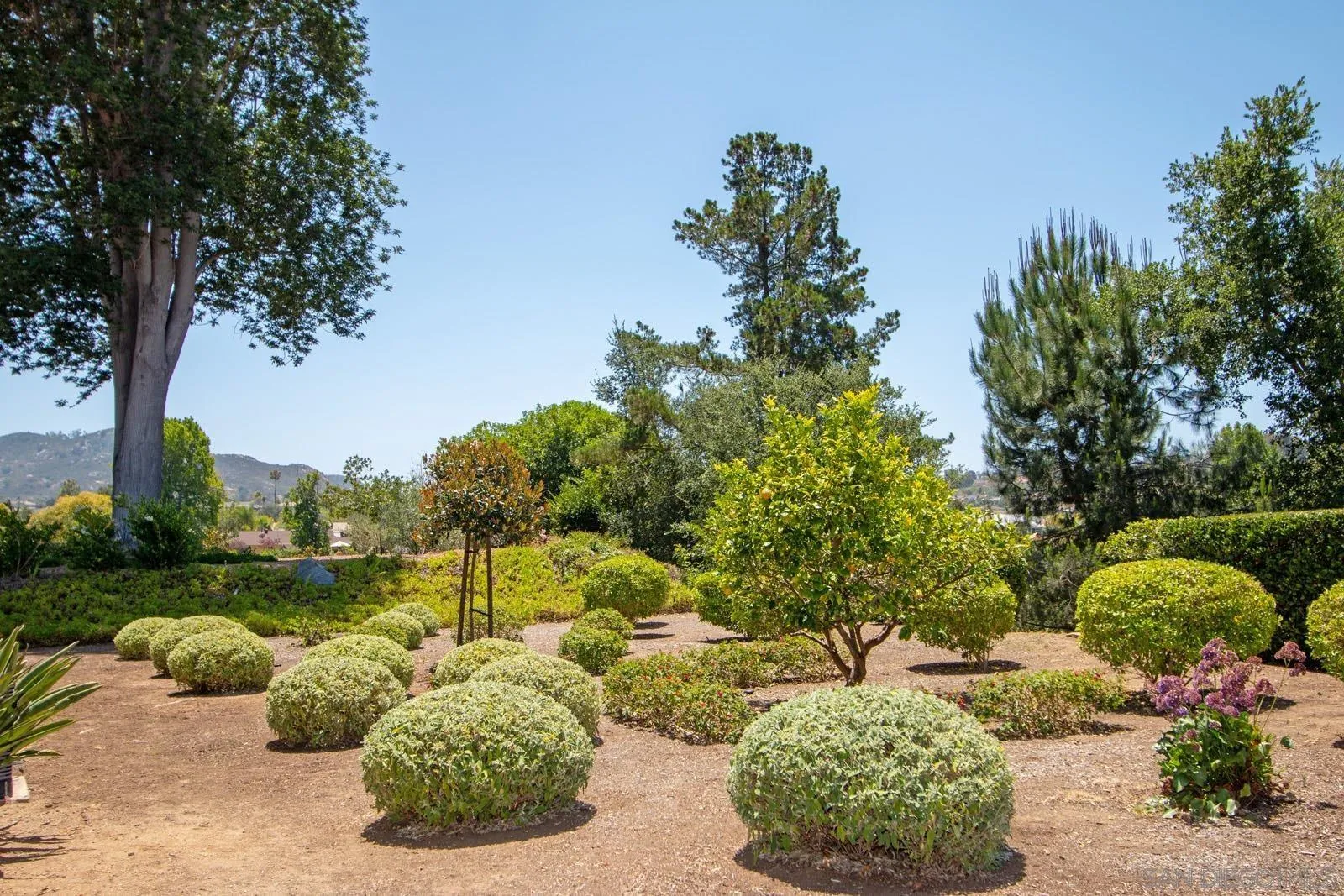 Photo #33: 260013542 Listing: Photo #33