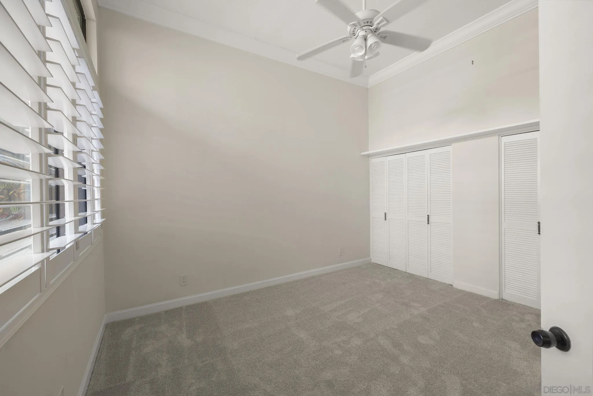 Photo #21: 260013849 Listing: Photo #21