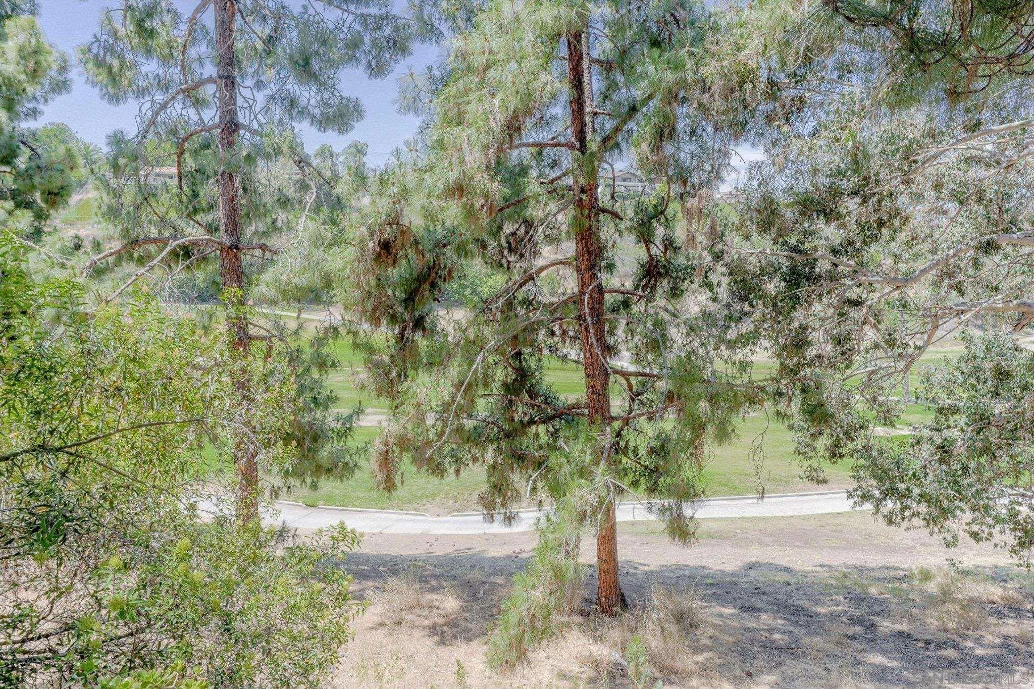 Photo #51: 260013927 Listing: Photo #51