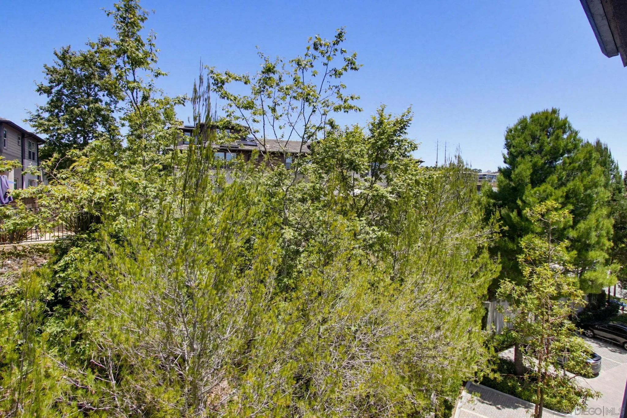 Photo #17: 260013956 Listing: Photo #17