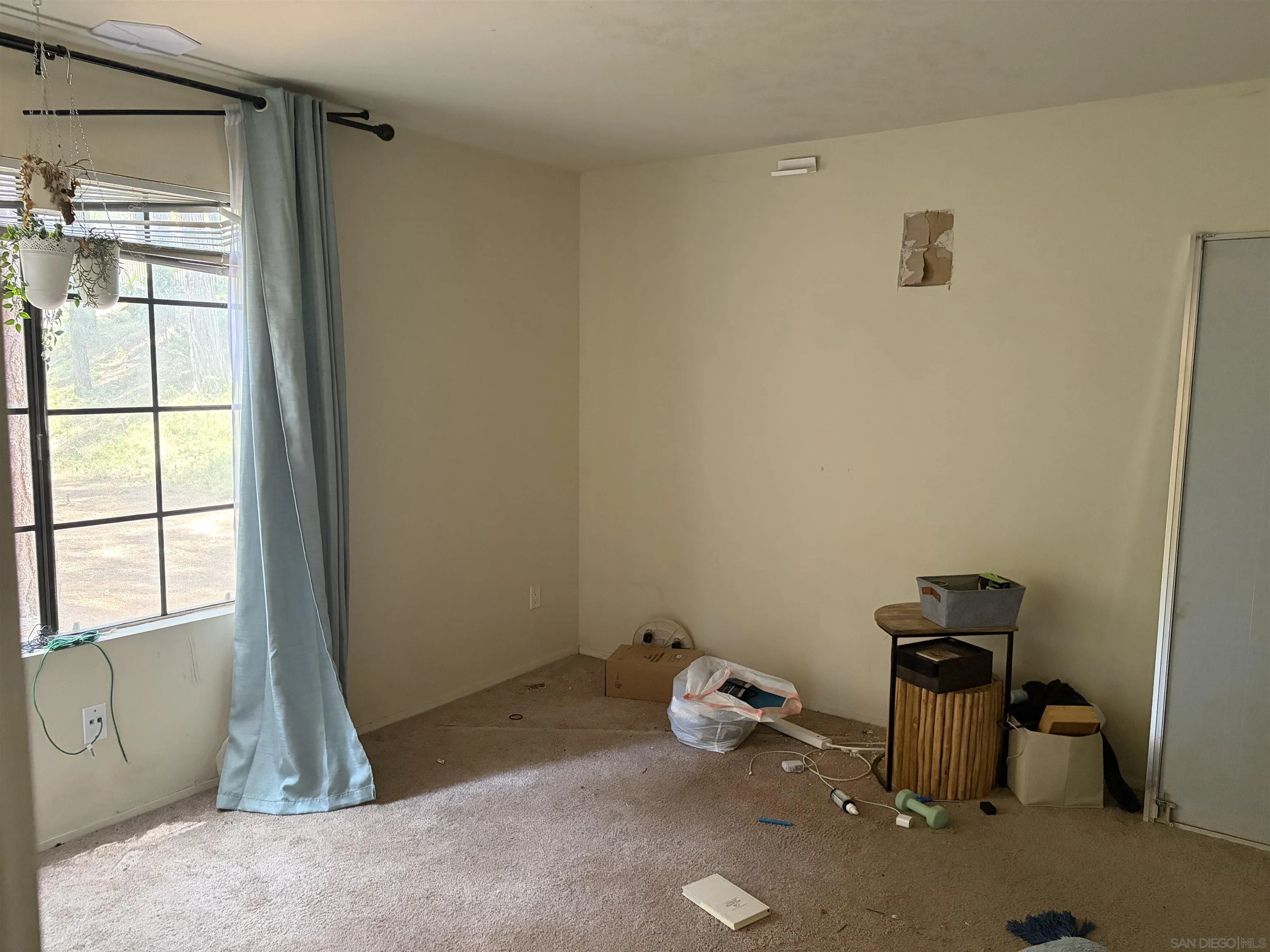 Photo #12: 260013967 Listing: Photo #12