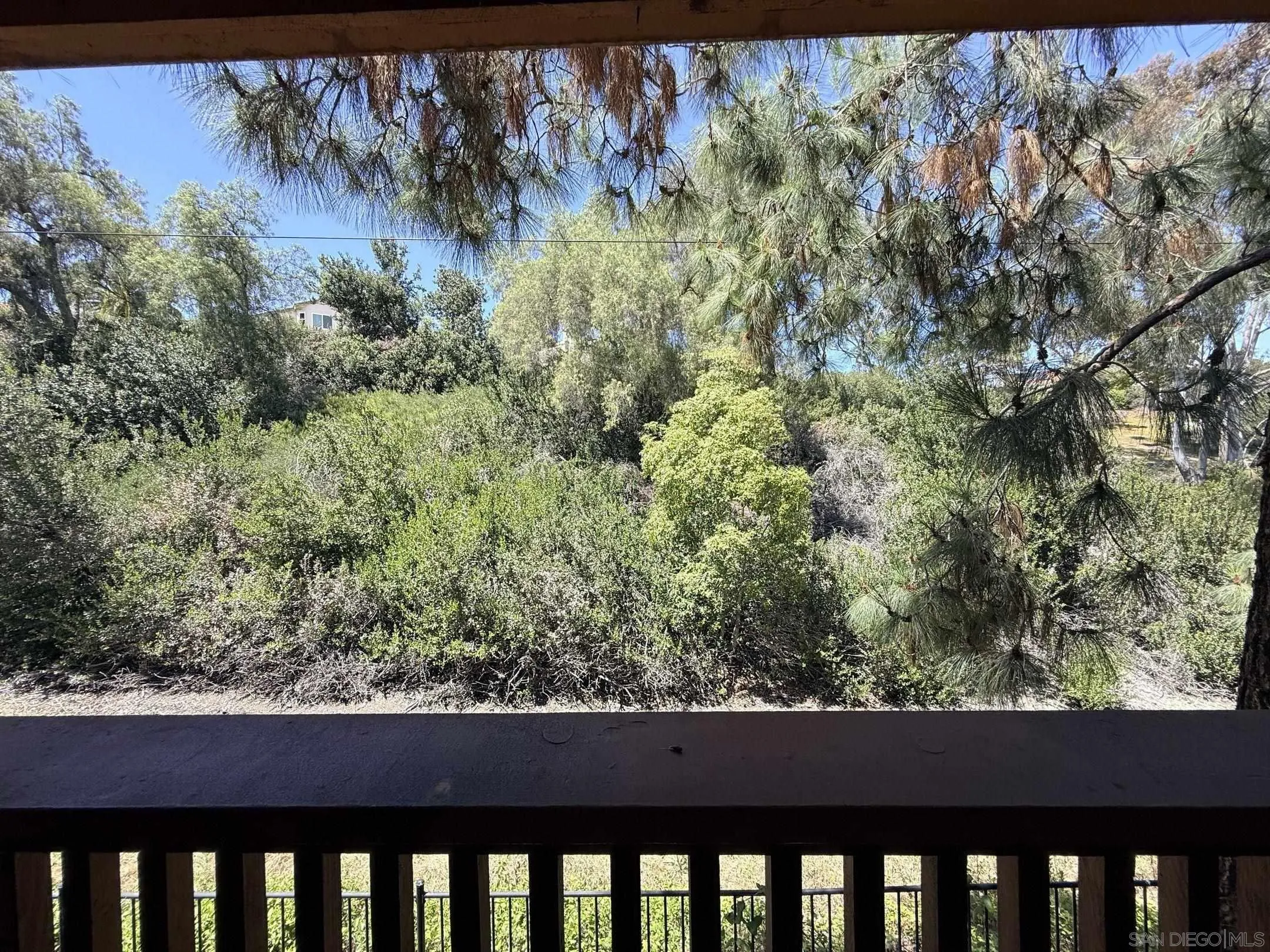 Photo #29: 260013996 Listing: Photo #29
