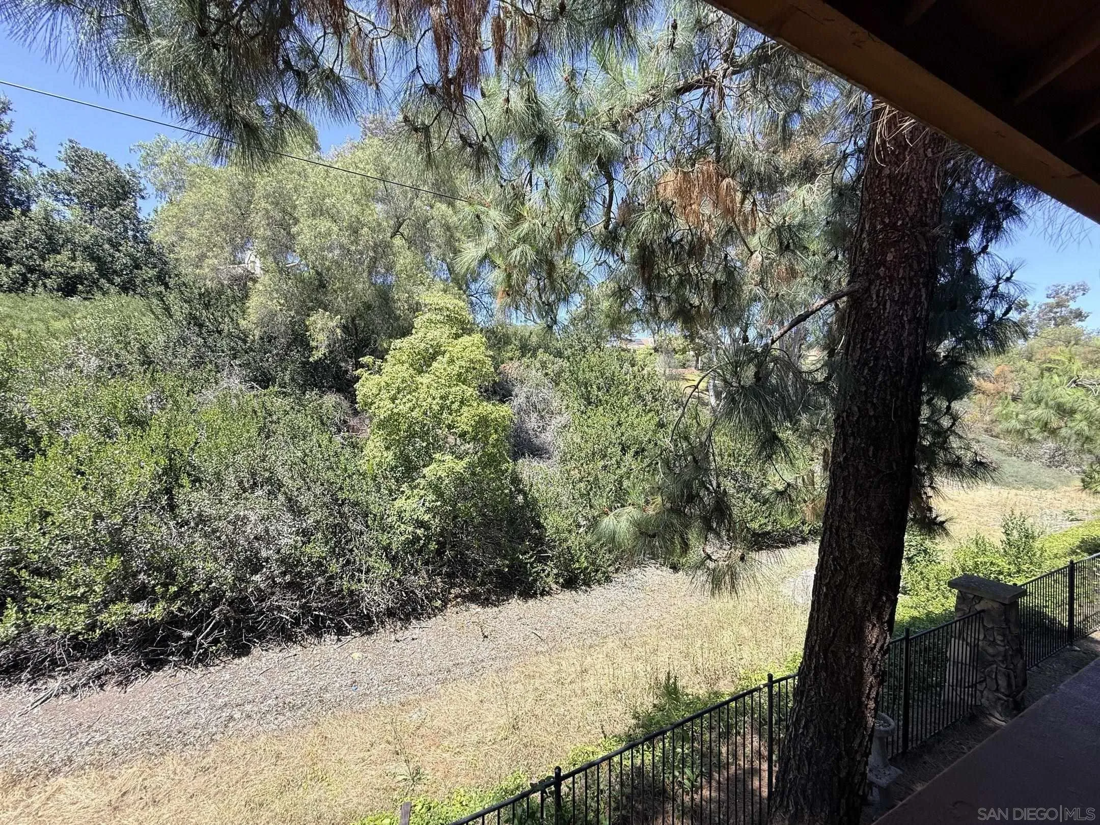 Photo #31: 260013996 Listing: Photo #31