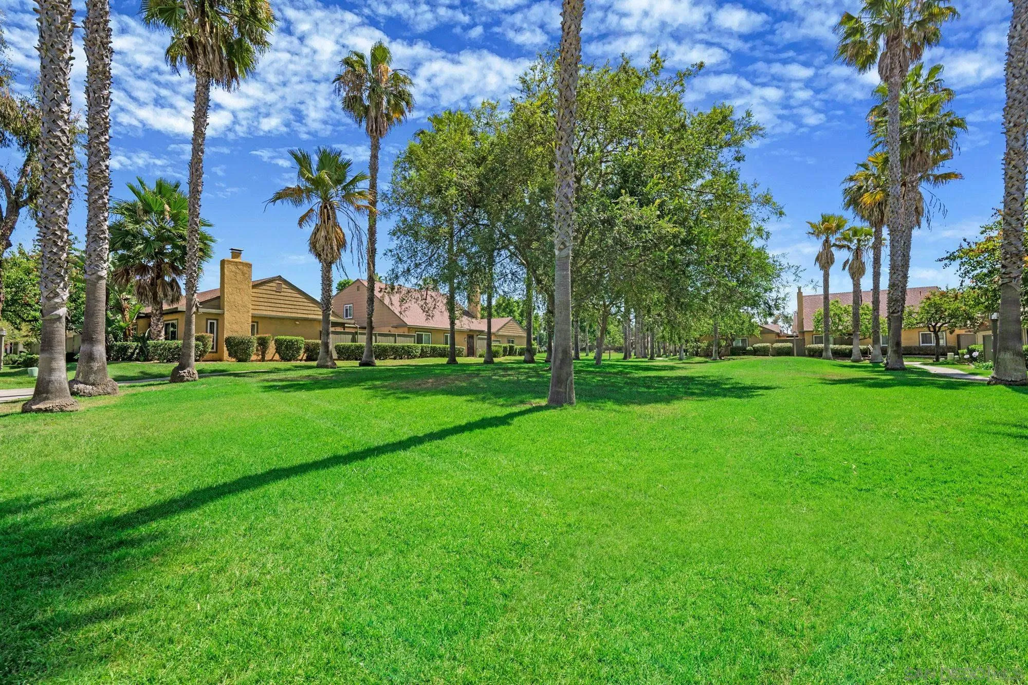 Photo #32: 260014101 Listing: Photo #32