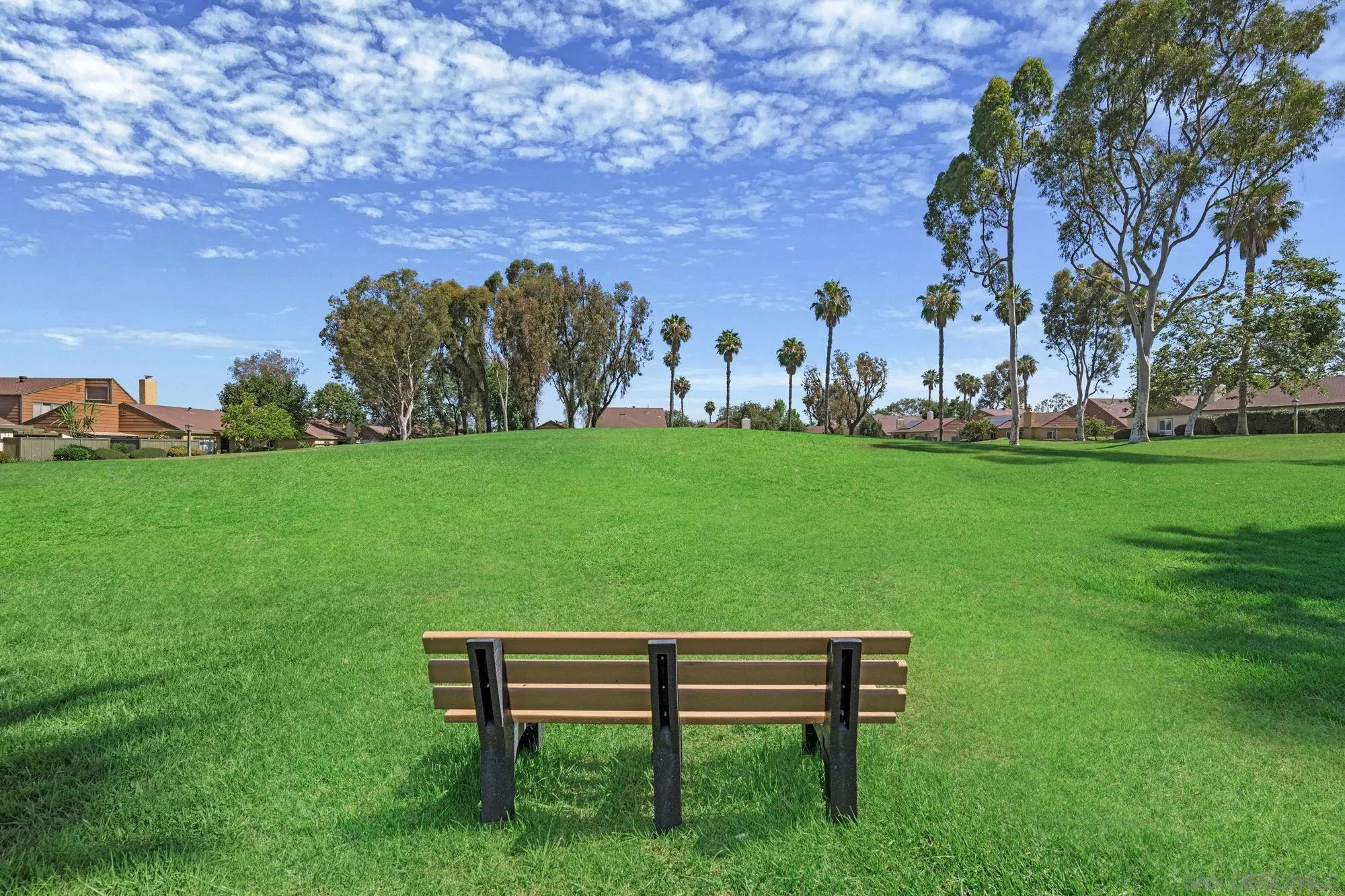 Photo #31: 260014101 Listing: Photo #31