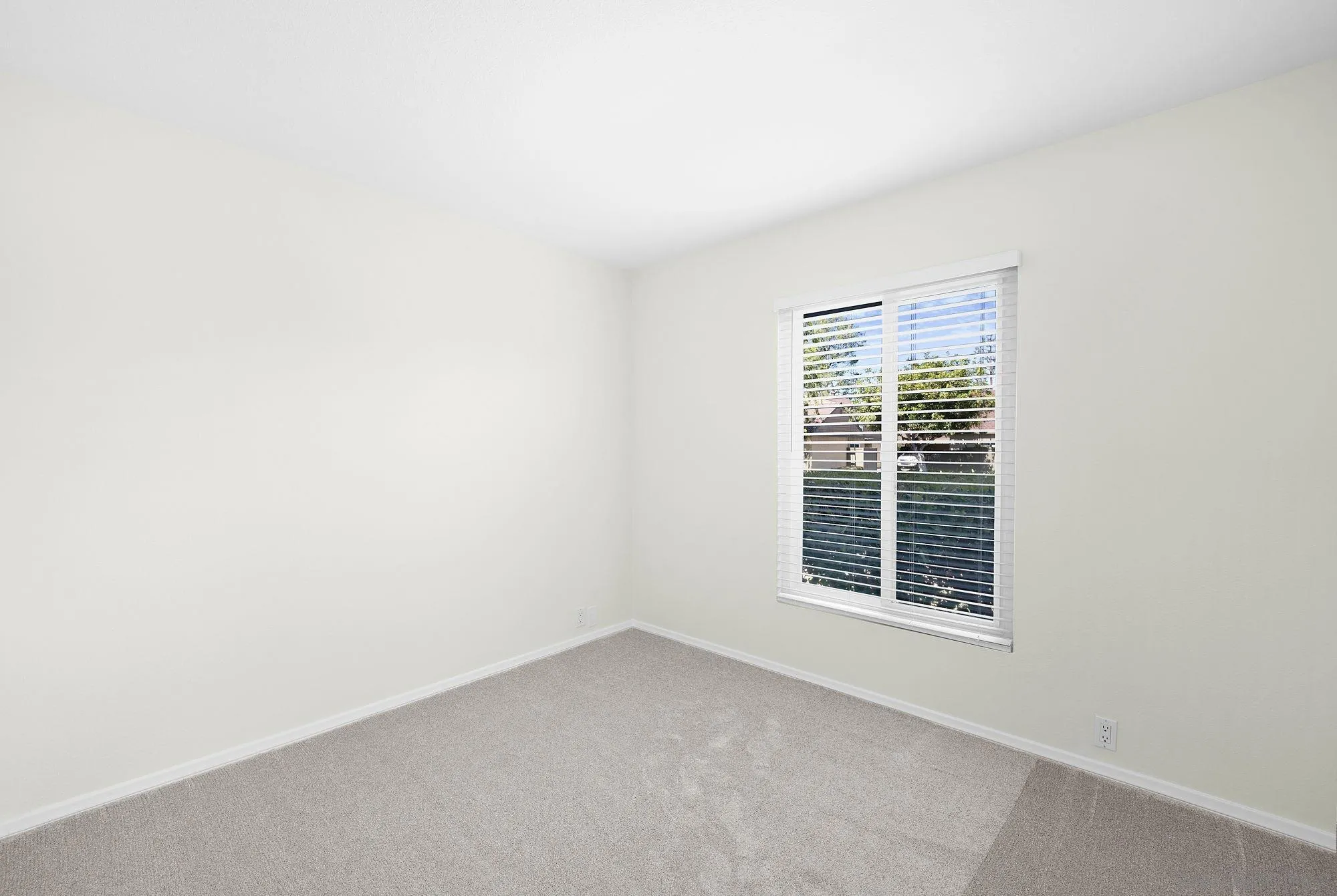 Photo #18: 260014101 Listing: Photo #18