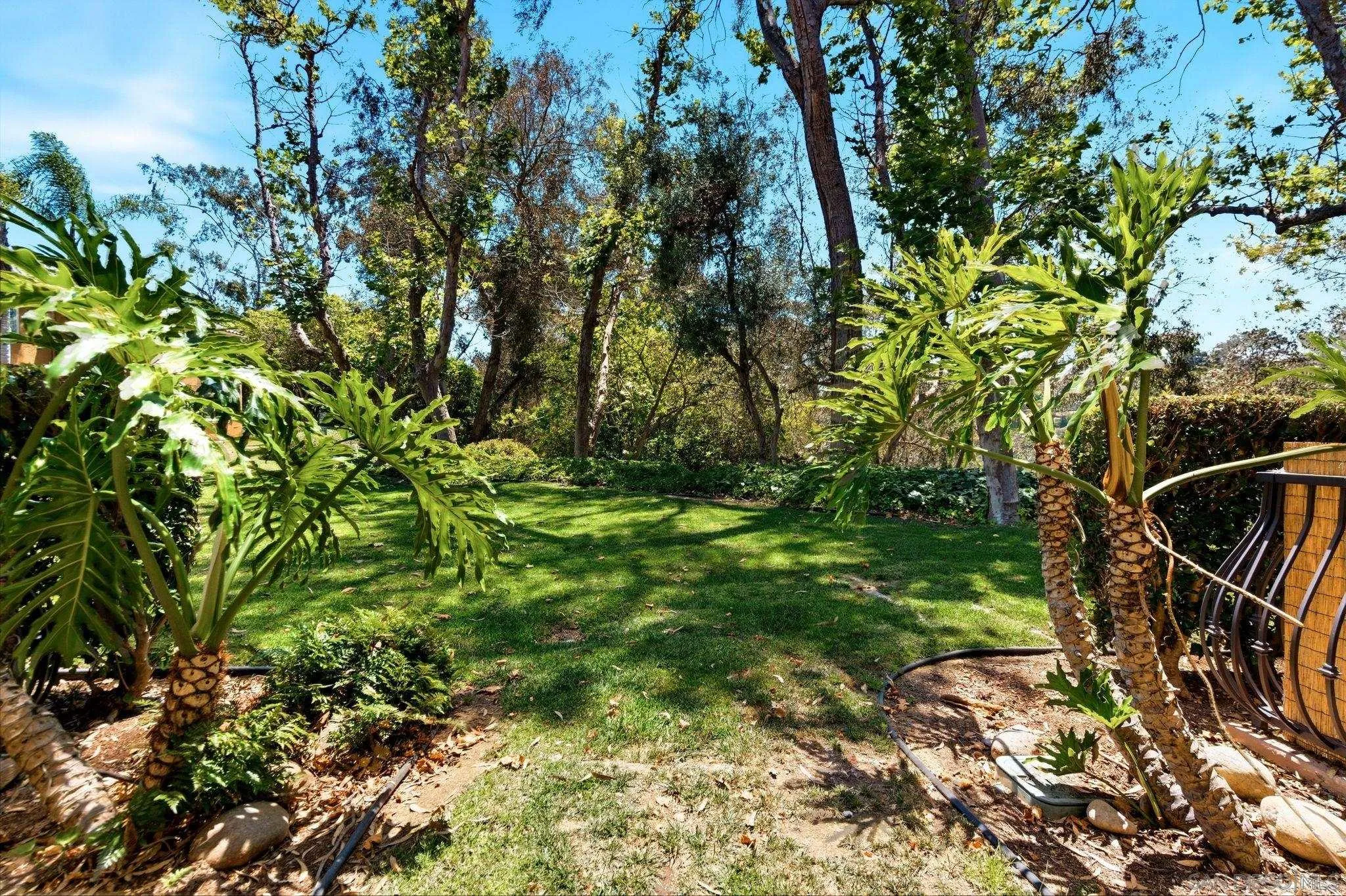 Photo #15: 260014194 Listing: Photo #15