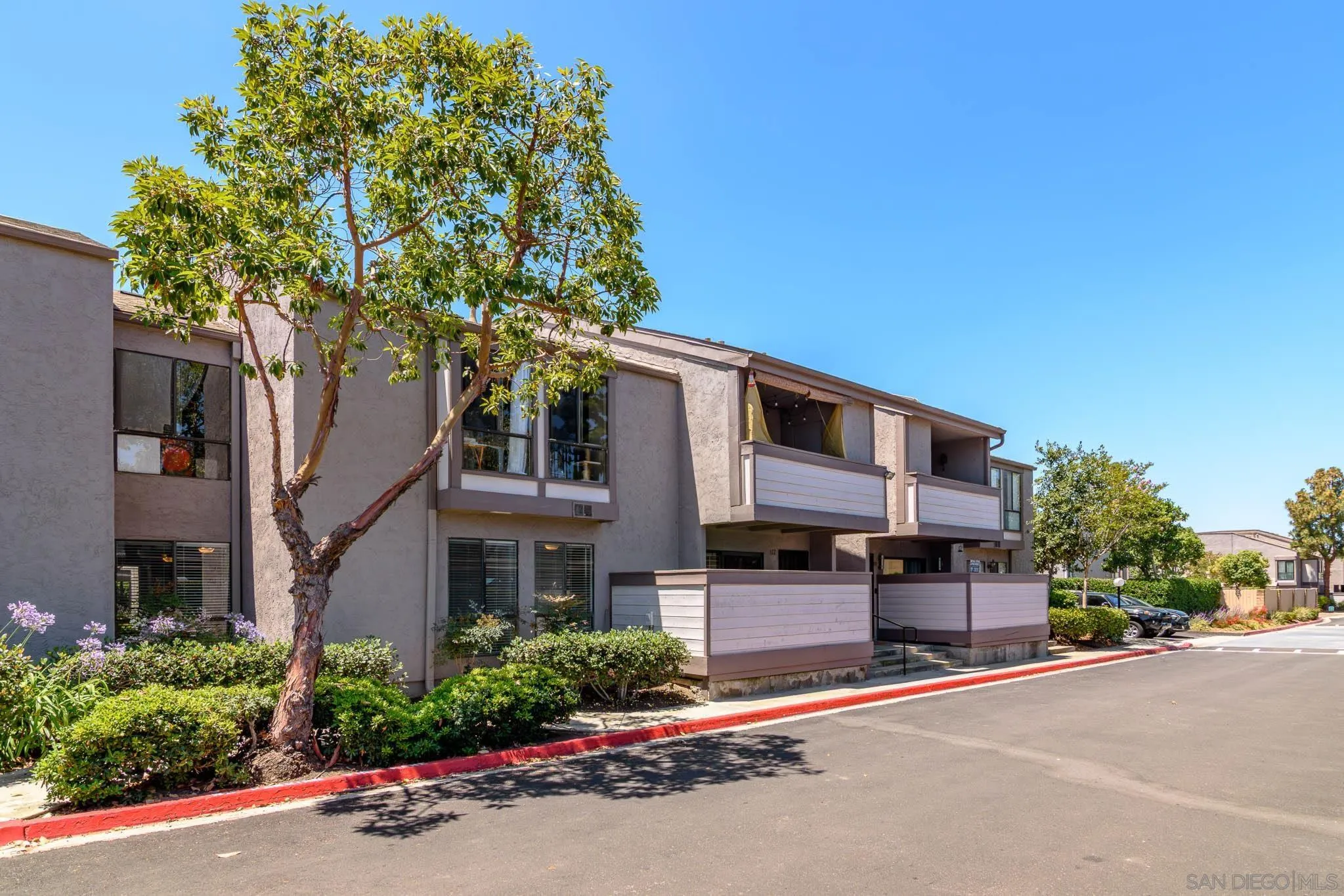 Photo #3: 260014239 Listing: Photo #3