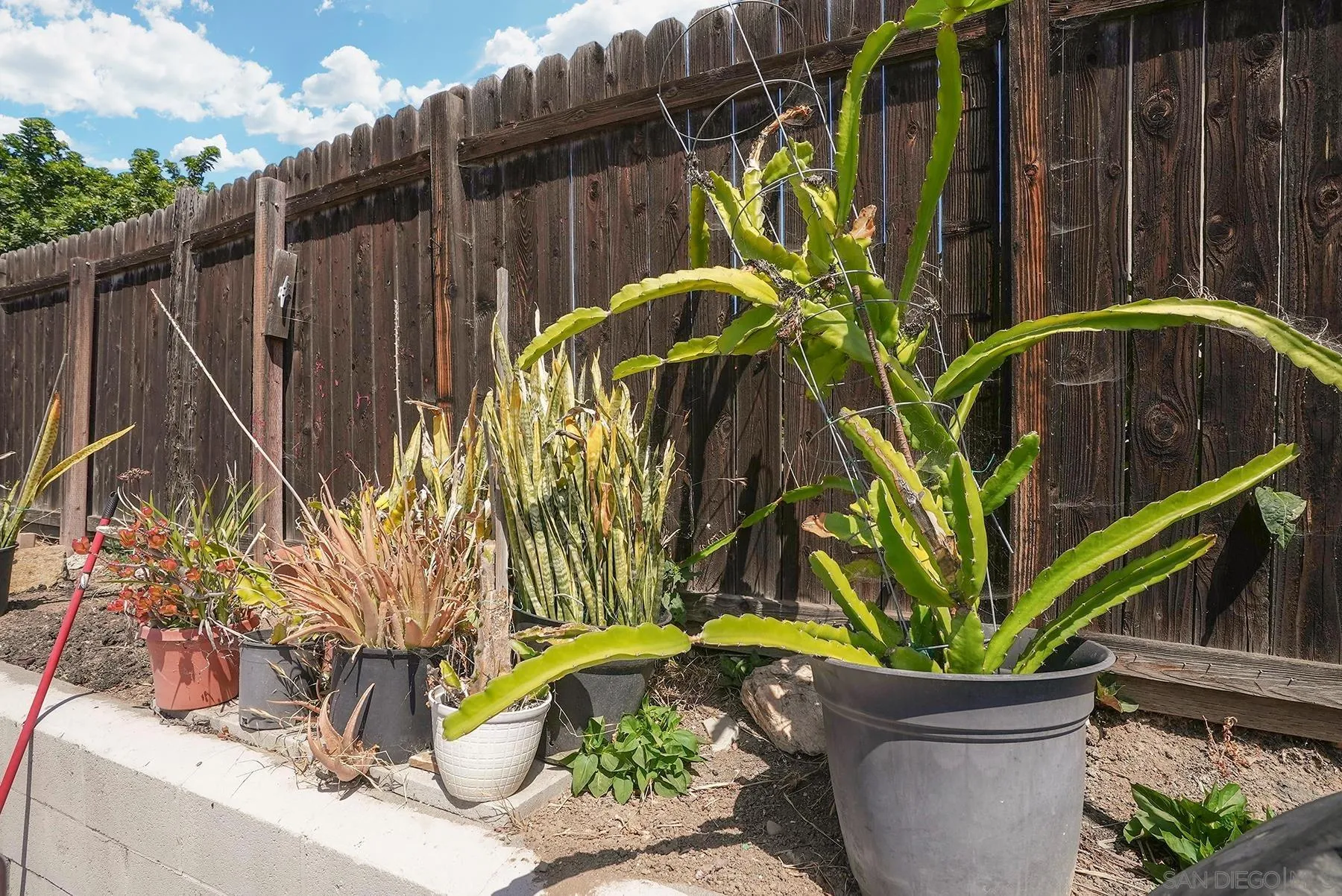 https://cdn.realtyfeed.com/cdn/127/260014244/6097e03f54441cdb4a660cf6dd890602.webp