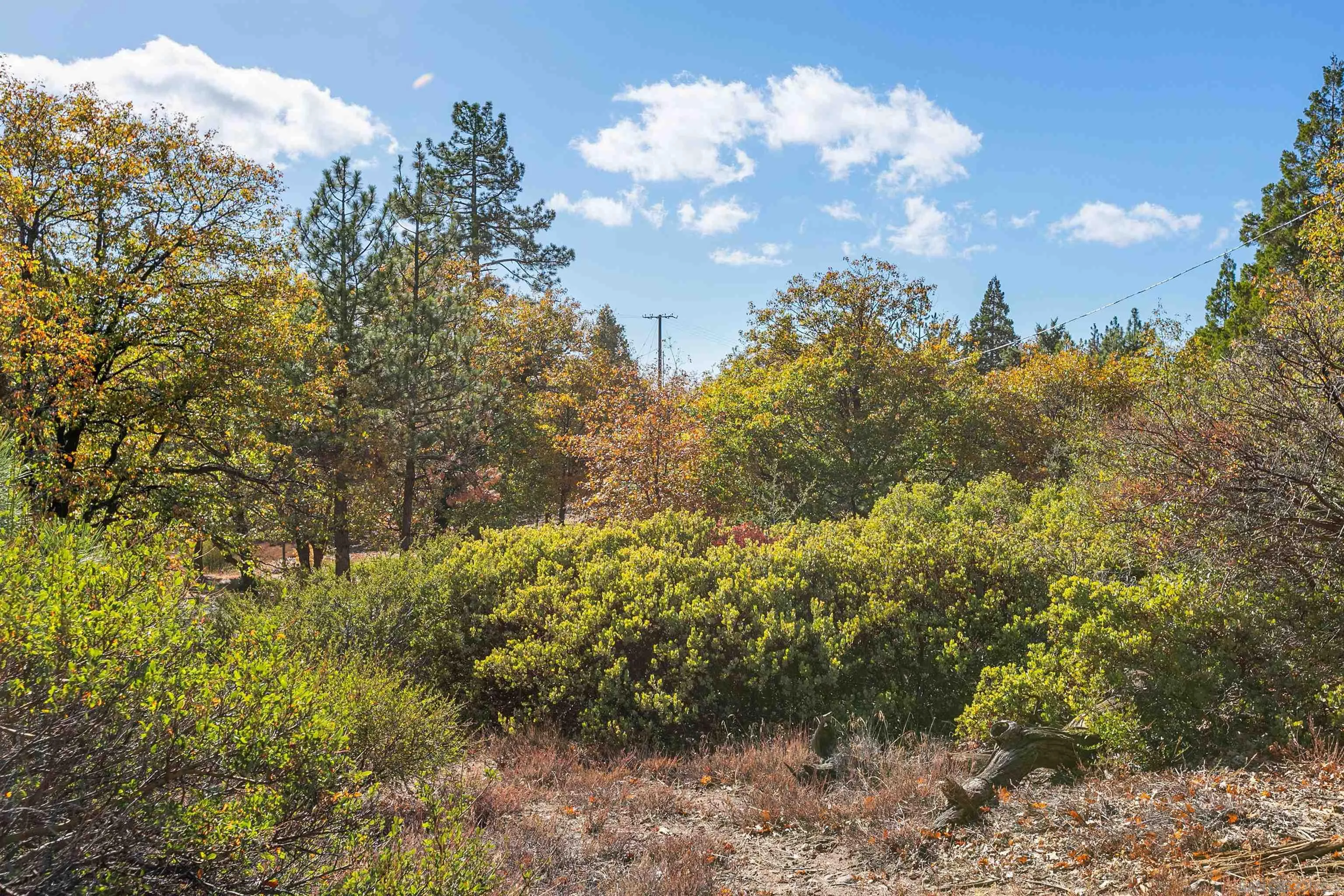 748 Boiling Springs, Mount Laguna, CA 91948, photo 39
