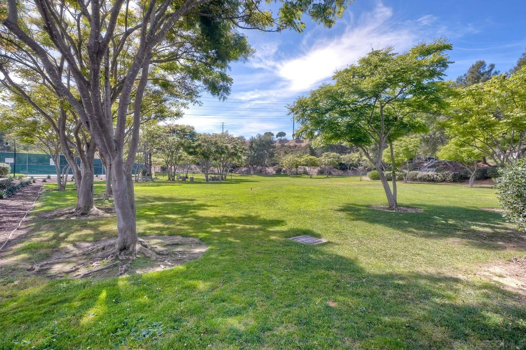 Photo #26: 260014437 Listing: Photo #26