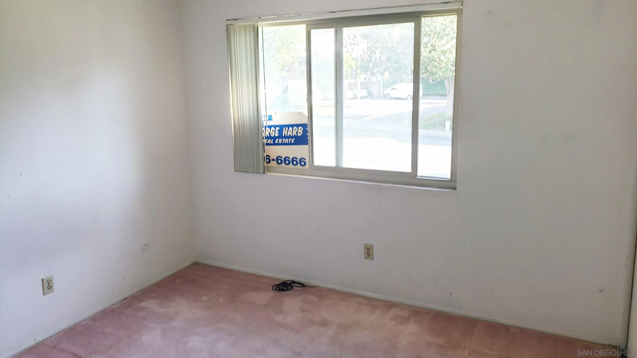Photo #6: 260014463 Listing: Photo #6