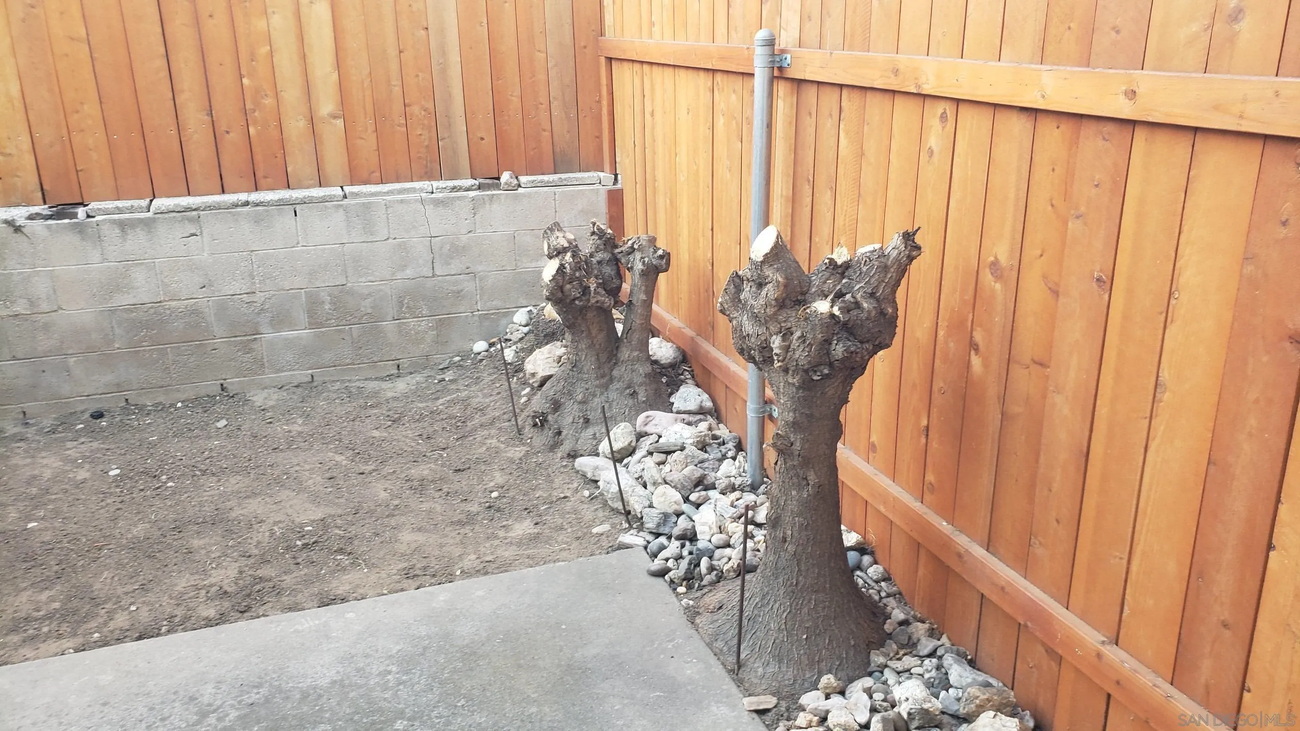 Photo #11: 260014463 Listing: Photo #11