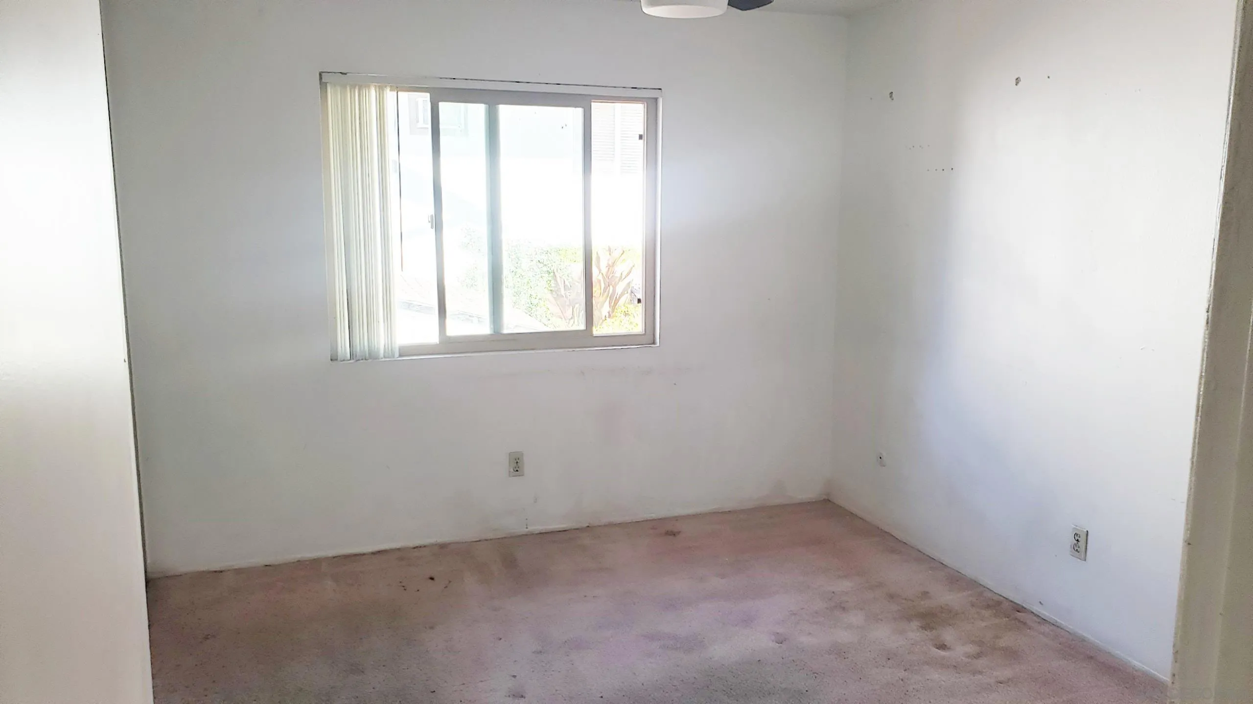 Photo #8: 260014463 Listing: Photo #8