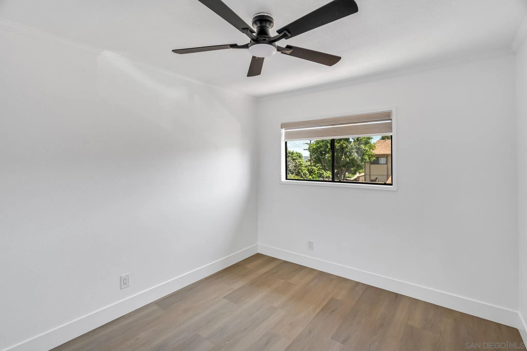 Photo #19: 260014507 Listing: Photo #19