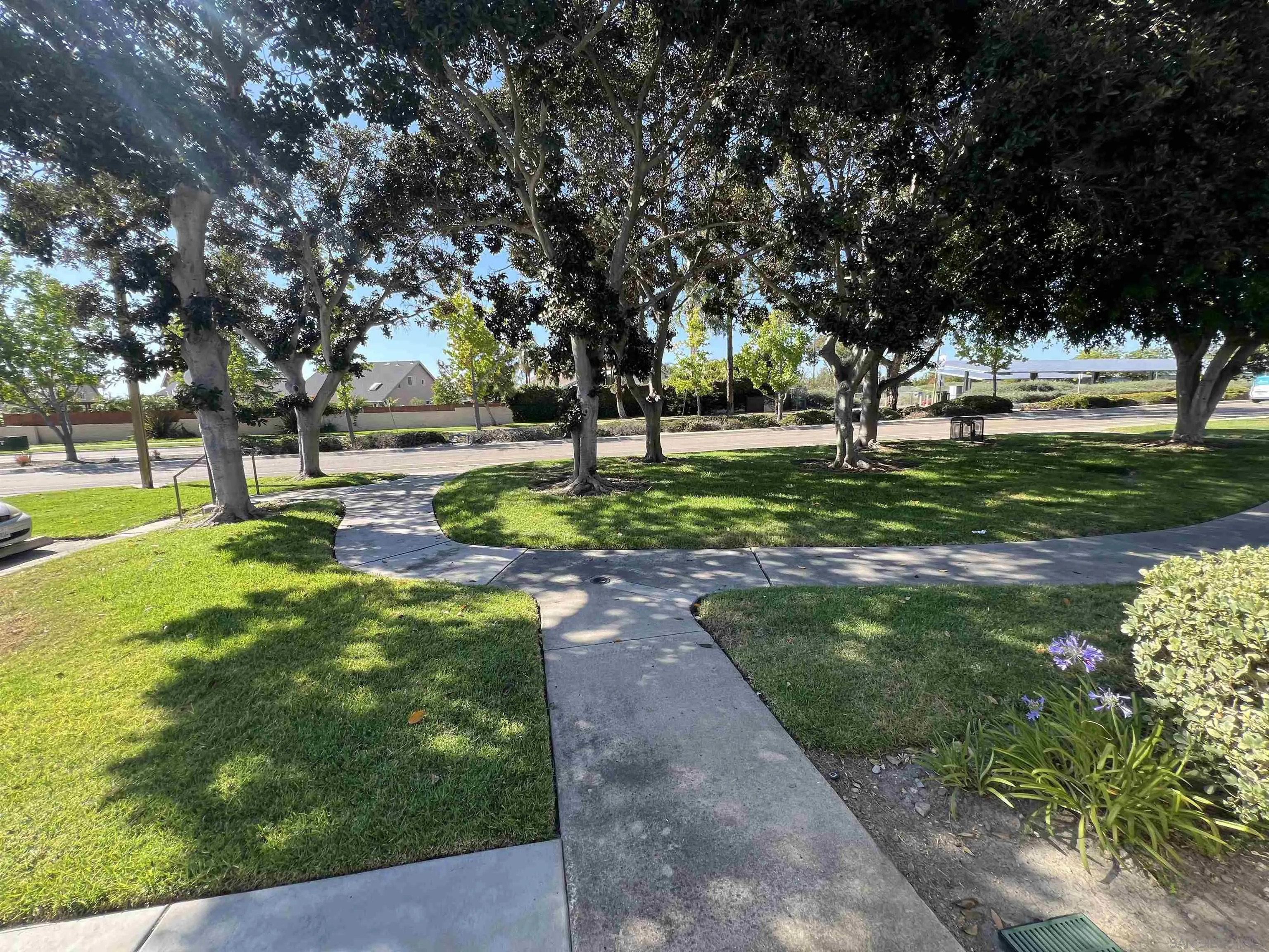 Photo #2: 260014523 Listing: Photo #2