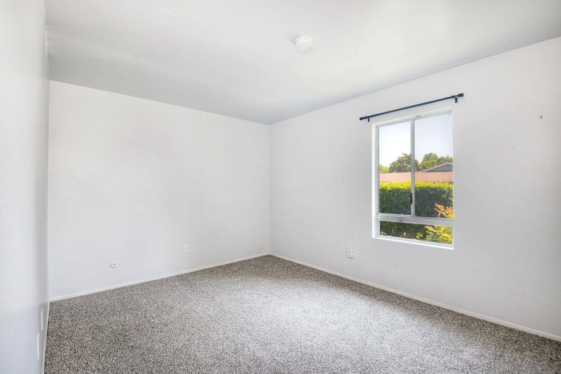 Photo #20: 260014634 Listing: Photo #20