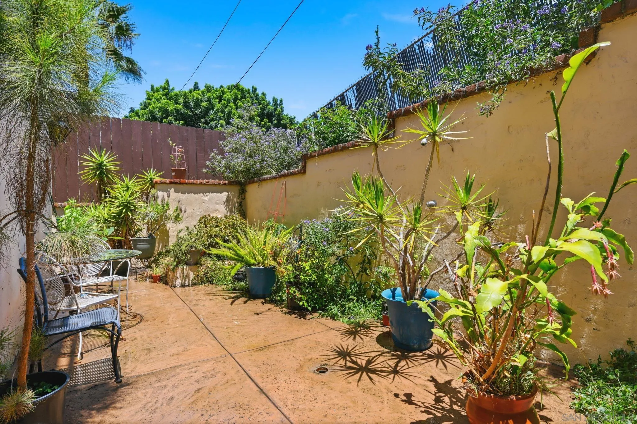 Photo #32: 260014874 Listing: Photo #32