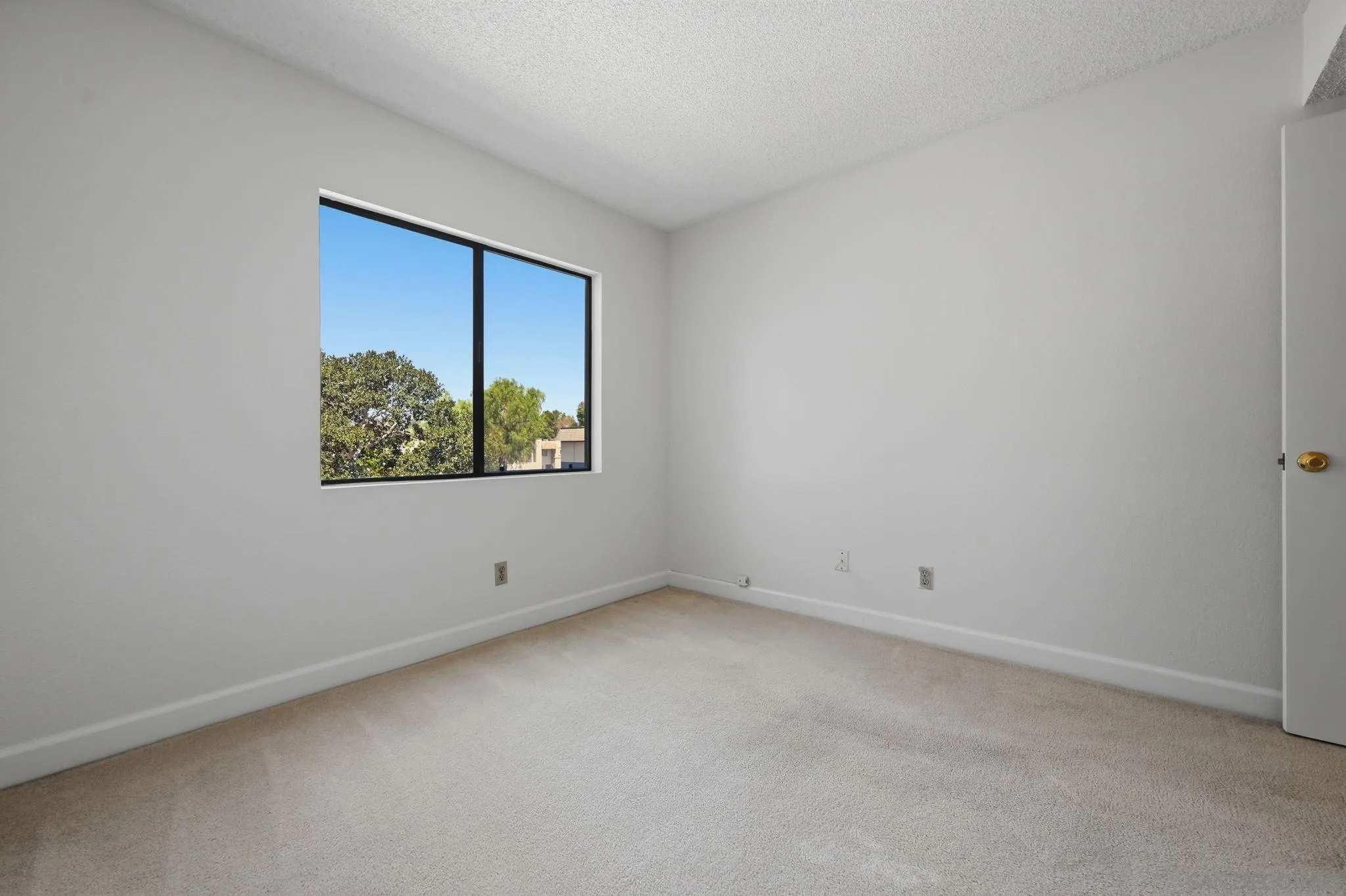 Photo #27: 260014898 Listing: Photo #27