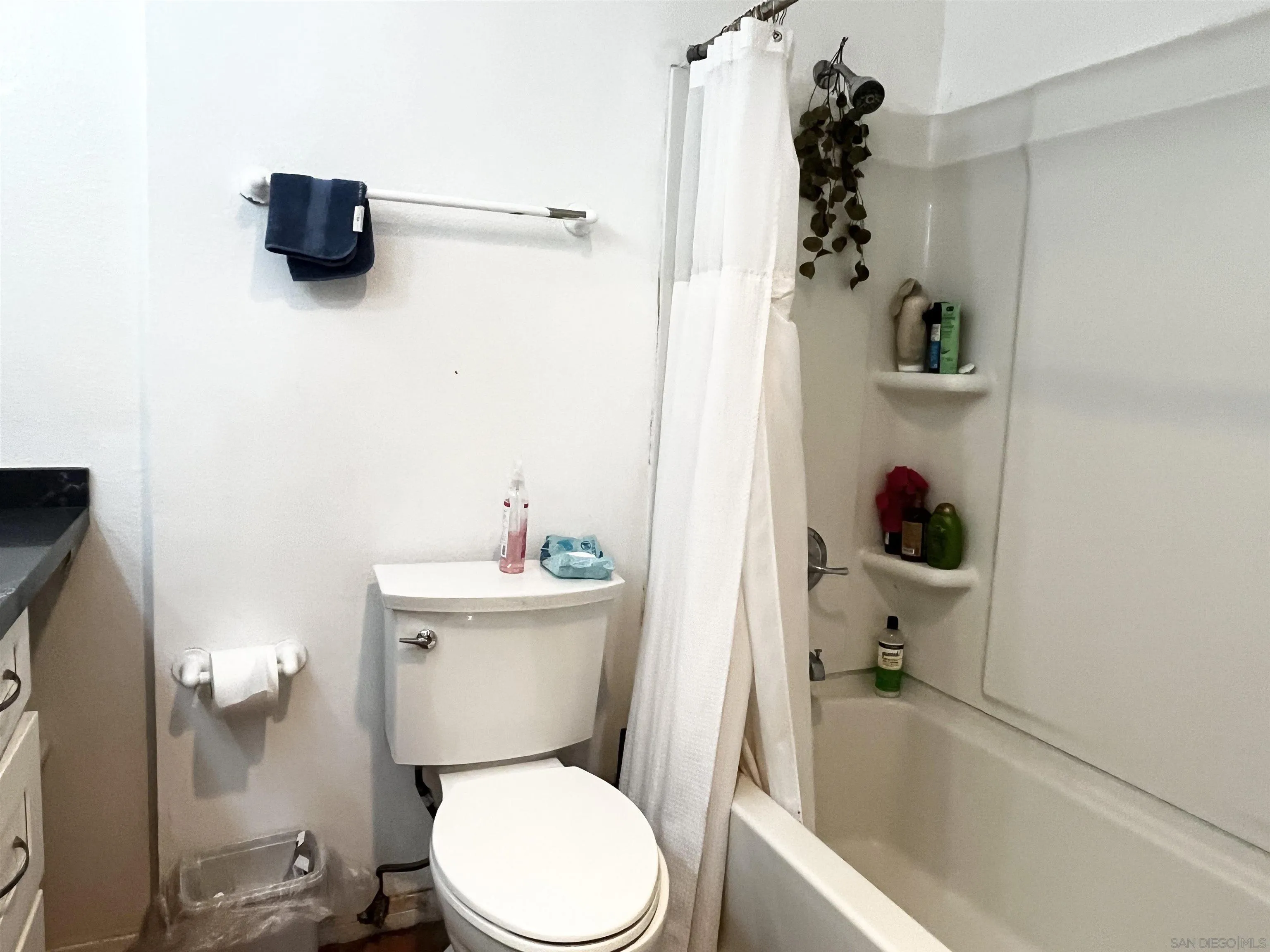 Photo #15: 260014956 Listing: Photo #15