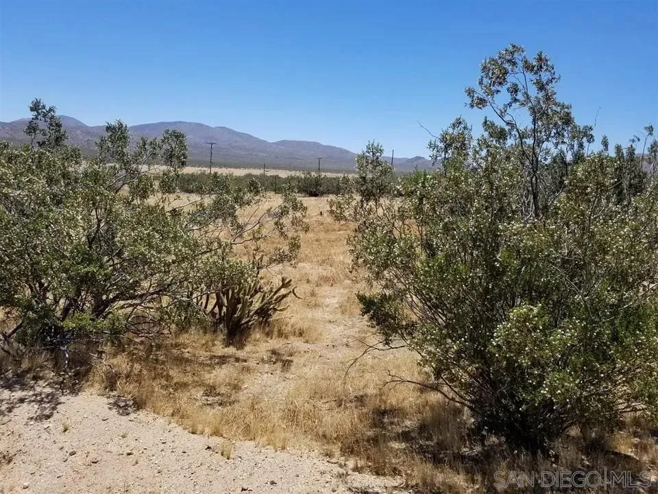7438 Overland Stage Rd #358, Julian, CA 92036, photo 7