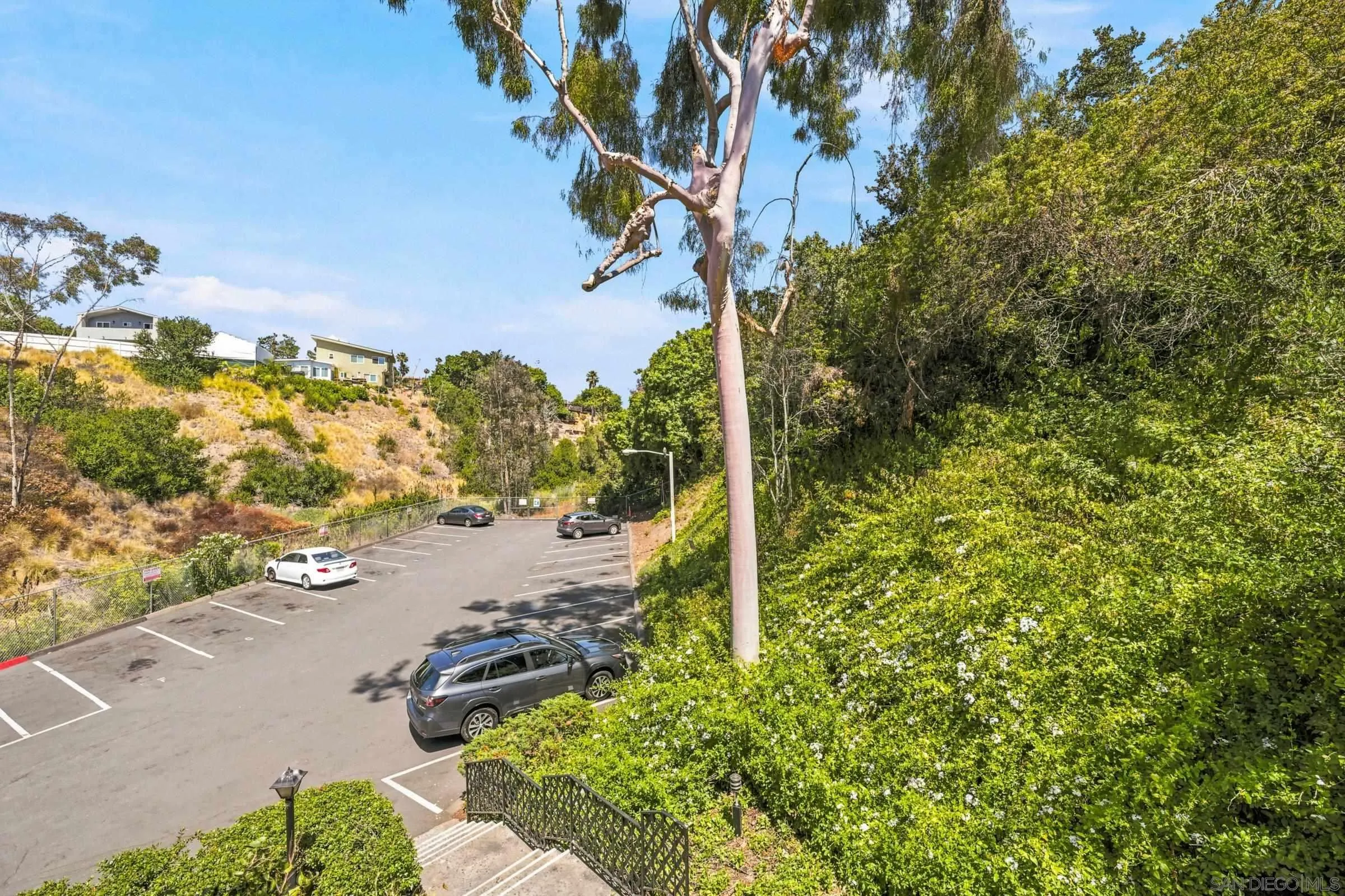 Photo #11: 260015222 Listing: Photo #11