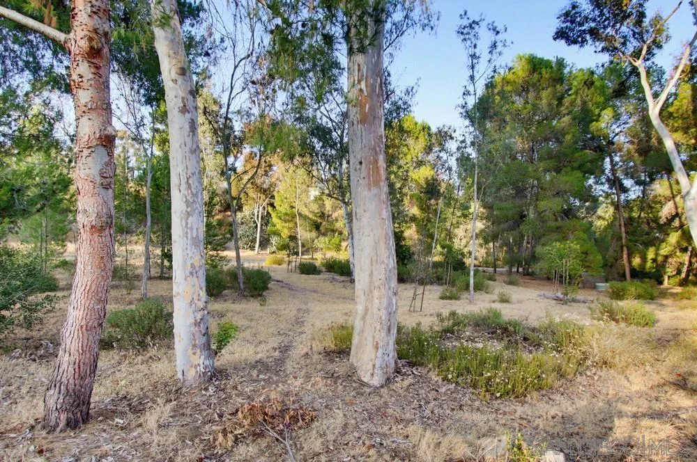 https://cdn.realtyfeed.com/cdn/127/260015344/64cda762414ac30ff3316d6d3fd56fcb.webp
