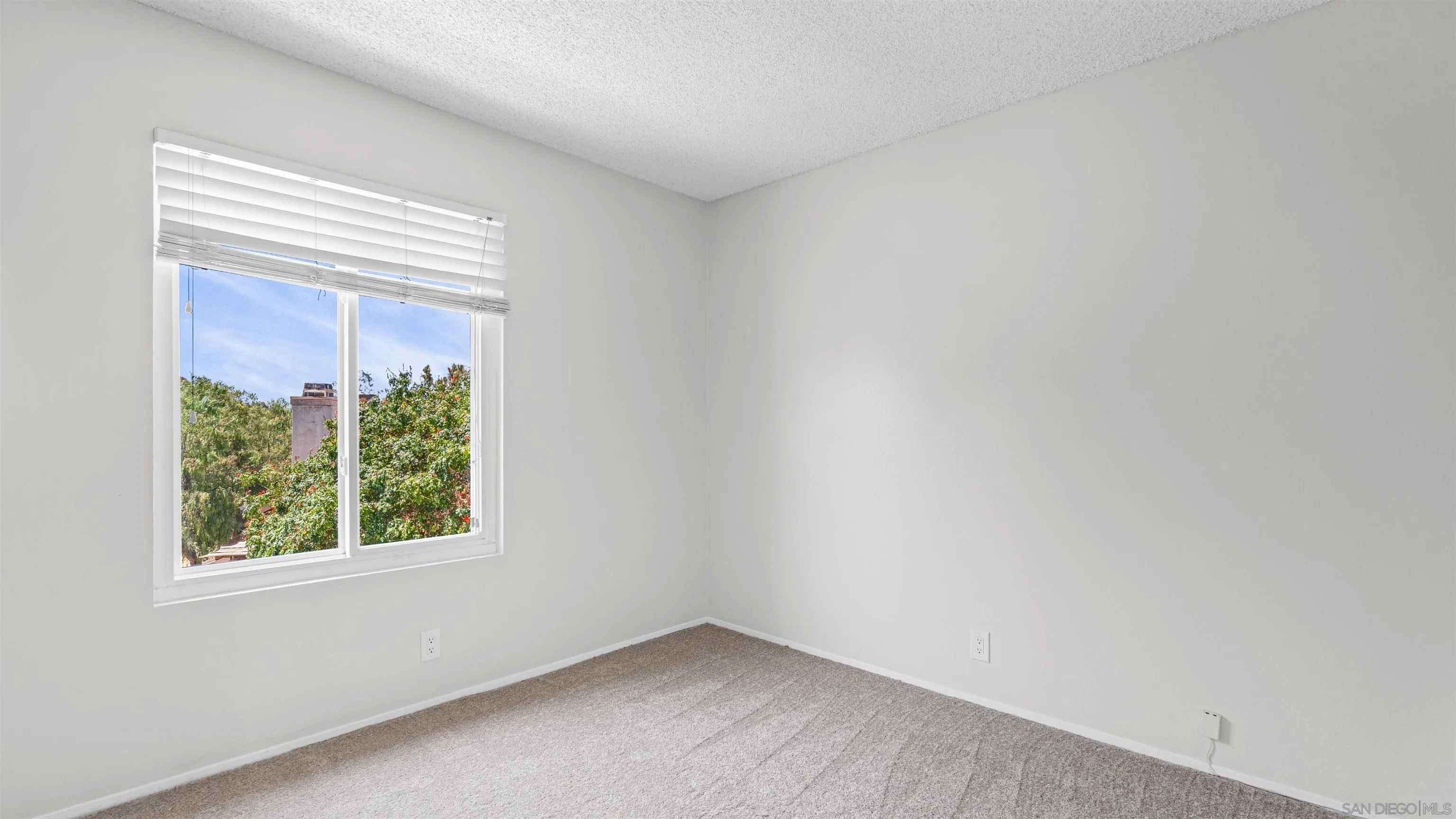 Photo #27: 260015412 Listing: Photo #27