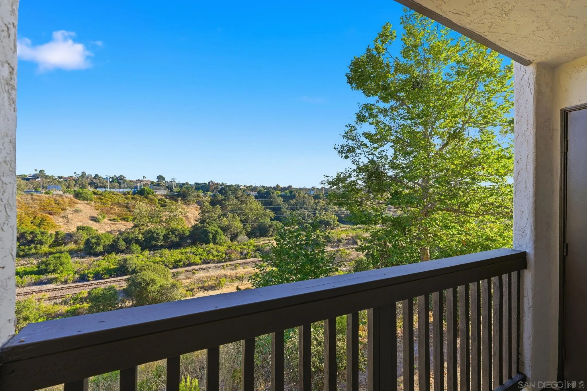 Photo #5: 260015498 Listing: Photo #5