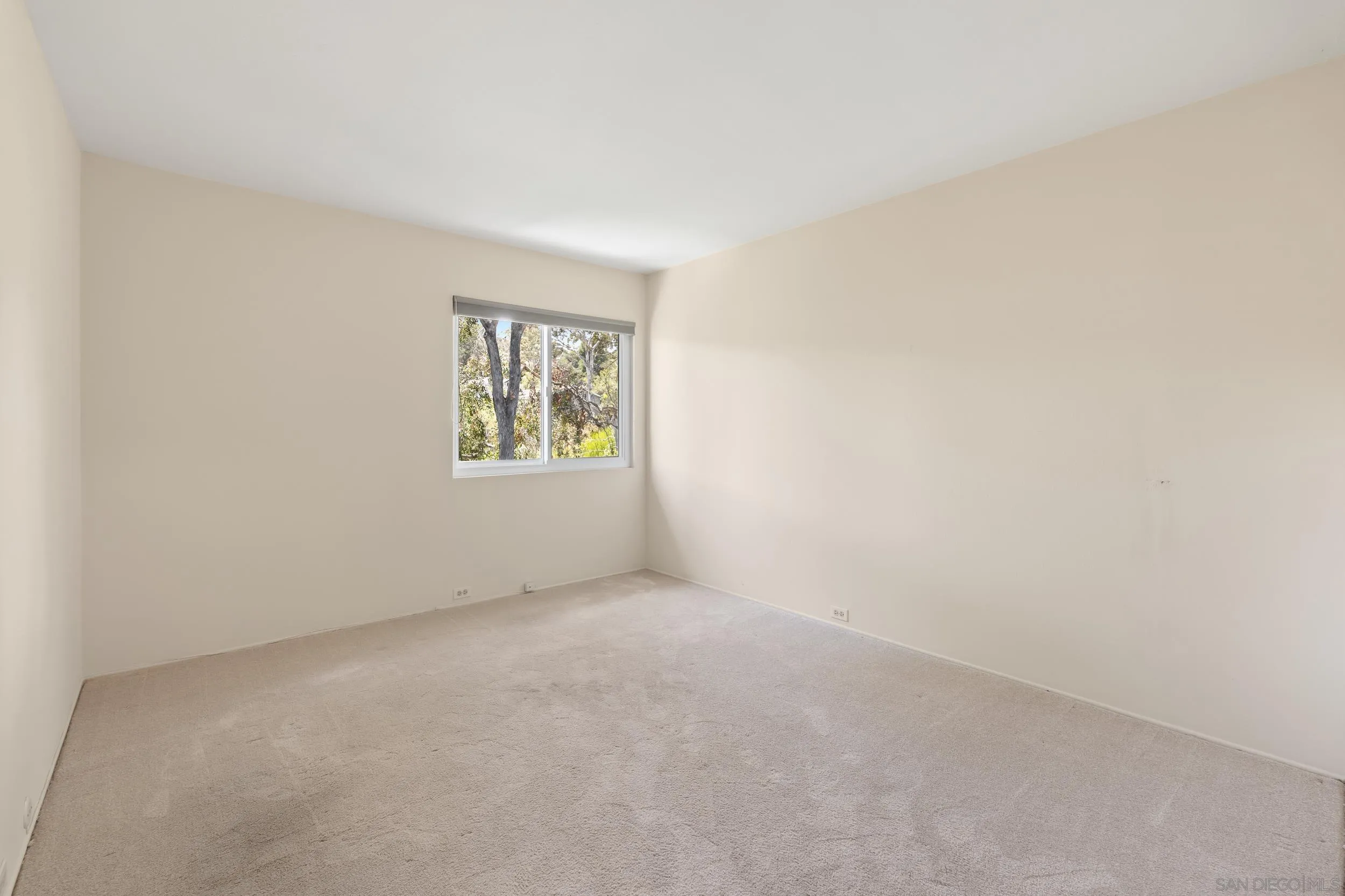 Photo #19: 260015500 Listing: Photo #19
