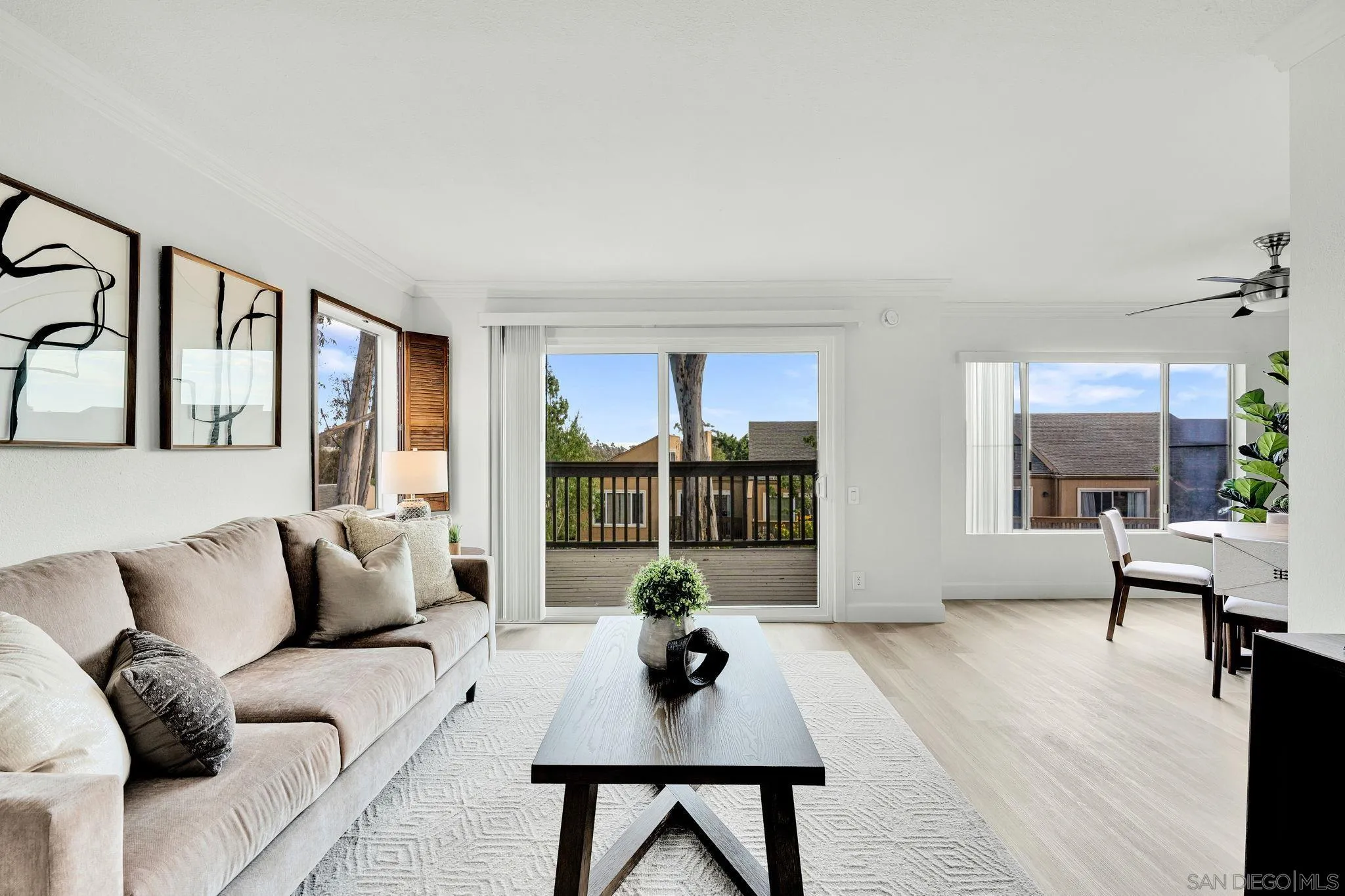 Photo #6: 260015566 Listing: Photo #6